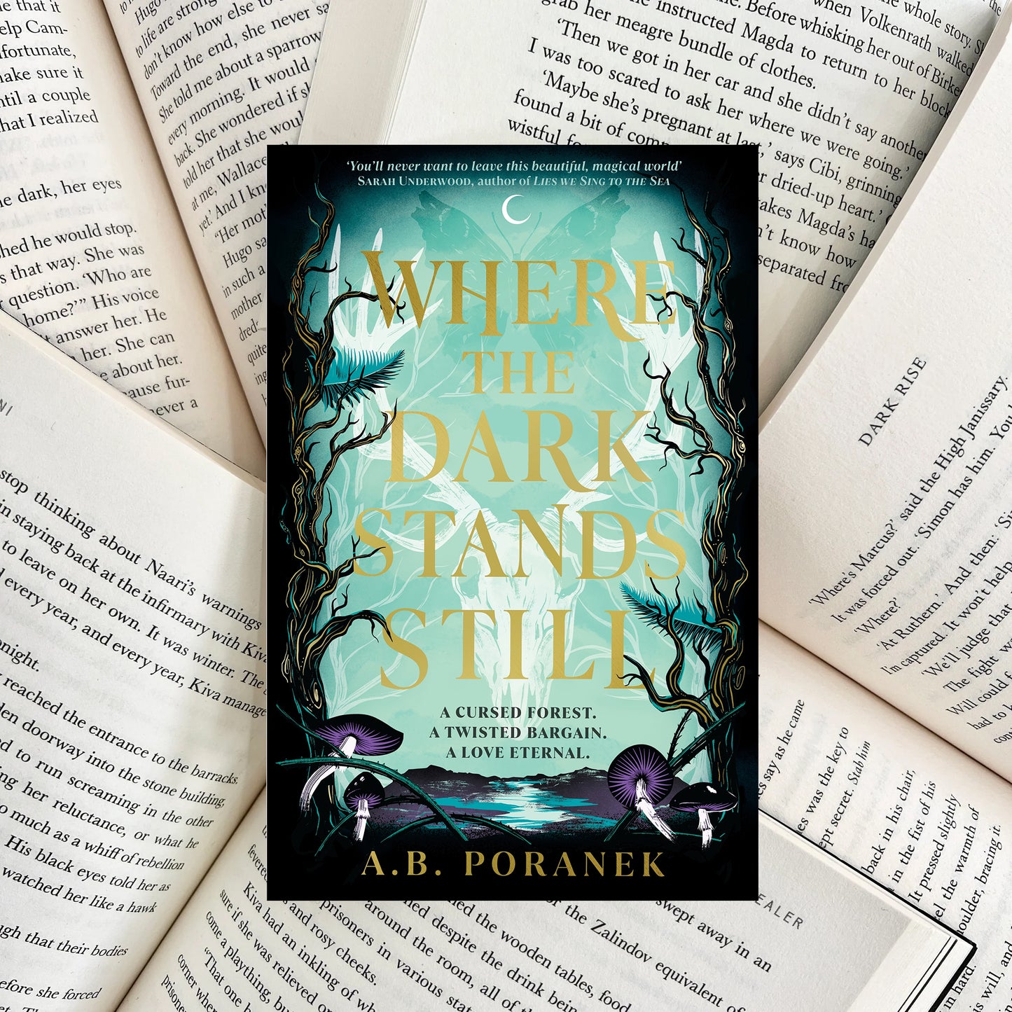 Where the Dark Stands Still By A.B. Poranek (SECOND-HAND)