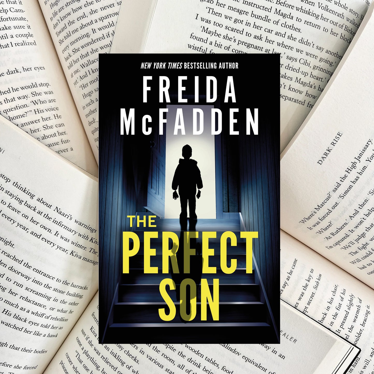 The Perfect Son By Freida McFadden (SECOND-HAND)
