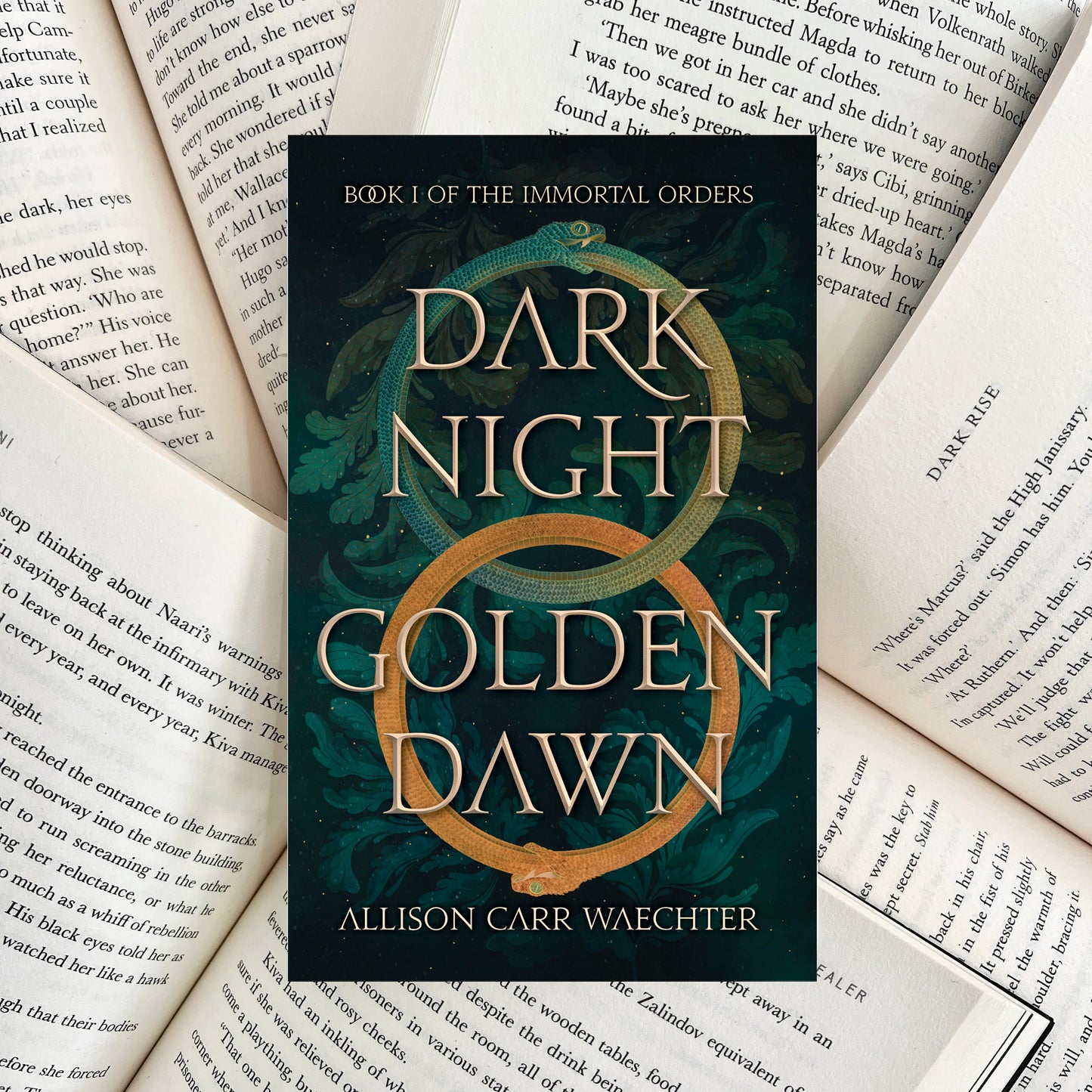 Dark Night Golden Dawn By Allison Carr Waechter (NEW)