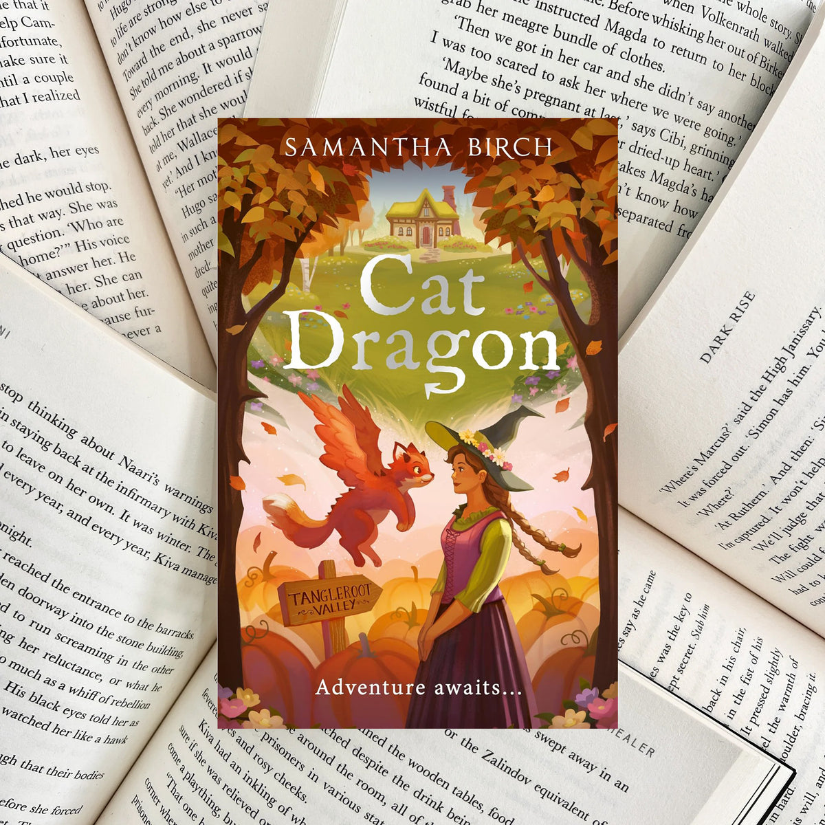 Cat Dragon By Samantha Birch (SECOND-HAND)
