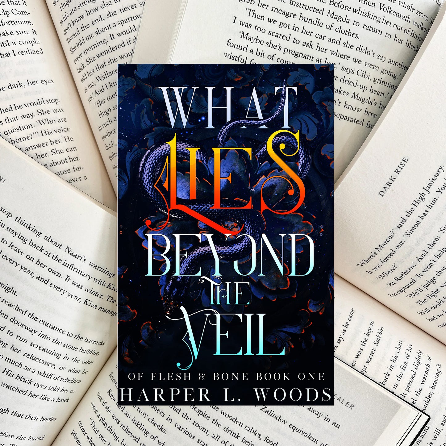 What Lies Beyond the Veil By Harper L. Woods (NEW)