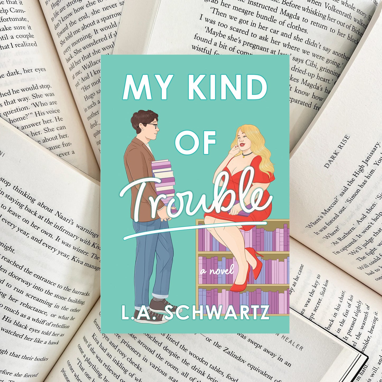 My Kind Of Trouble By L.A. Schwartz (NEW)