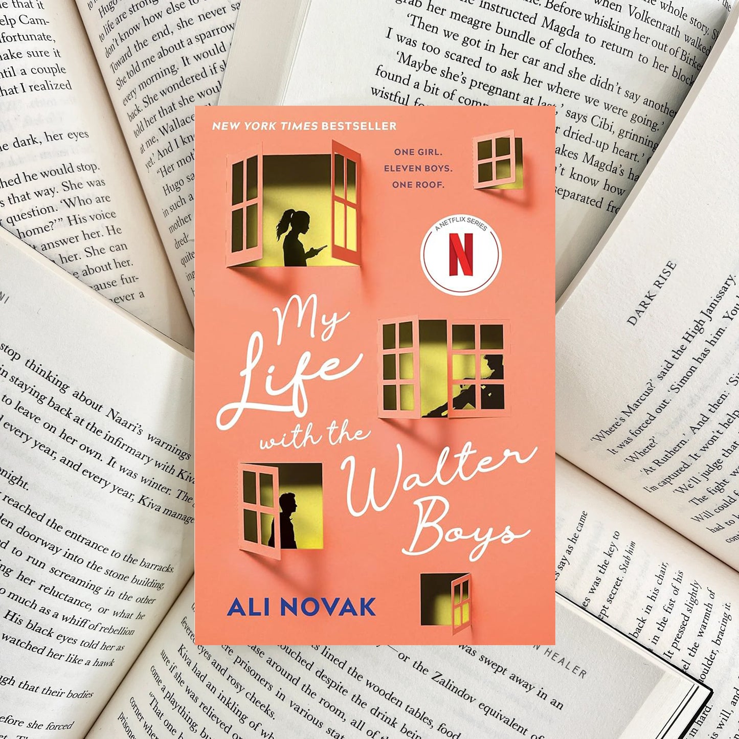 My Life with the Walter Boys By Ali Novak (NEW)
