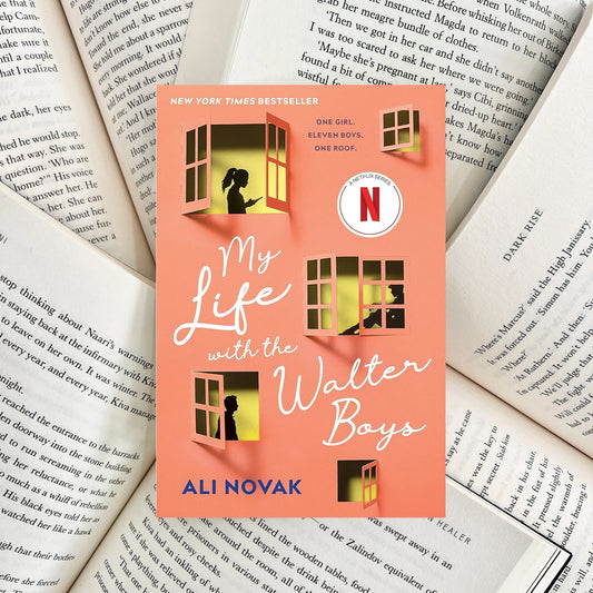 My Life with the Walter Boys By Ali Novak (NEW)