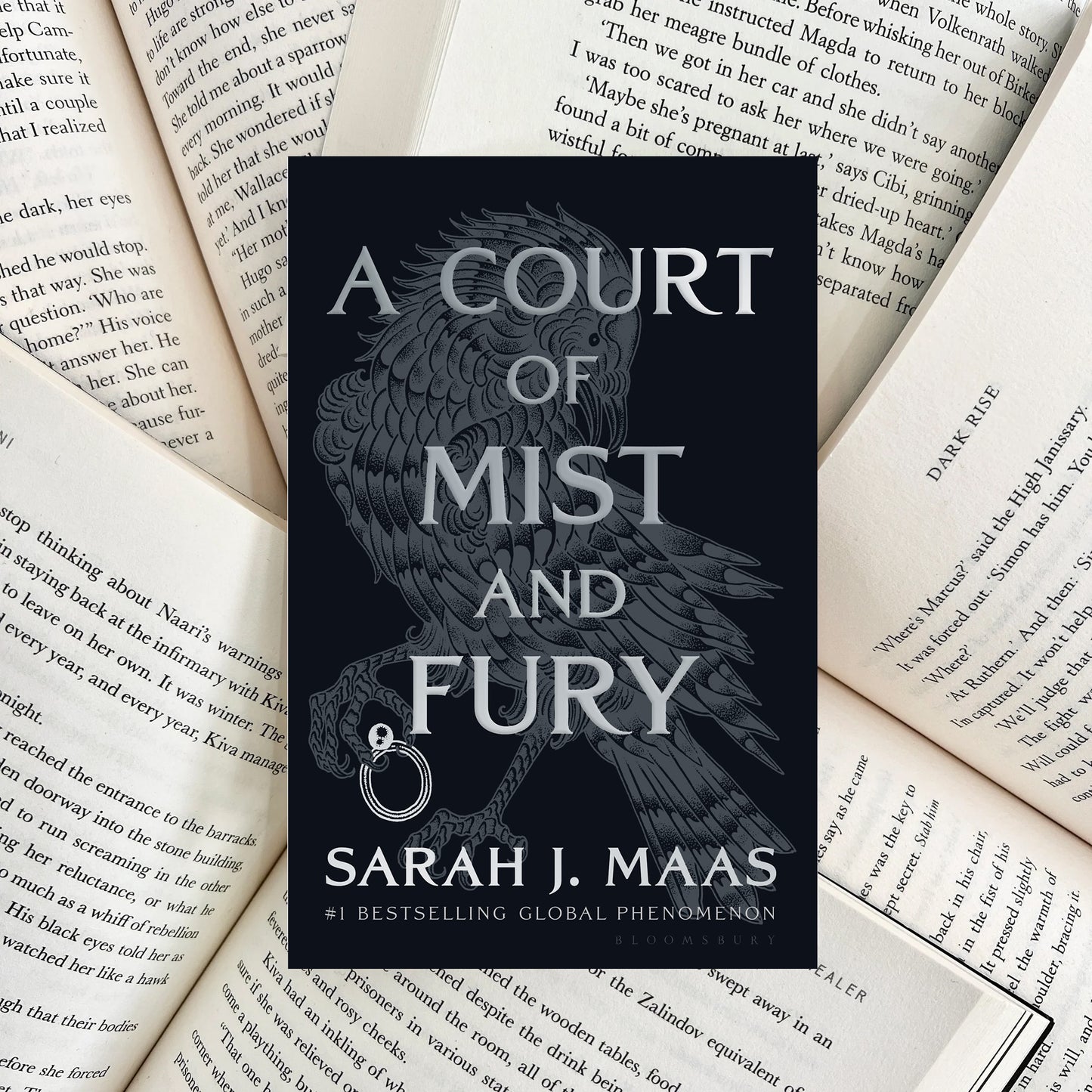 A Court of Mist and Fury By Sarah J. Maas NIGHT EDITION (NEW)