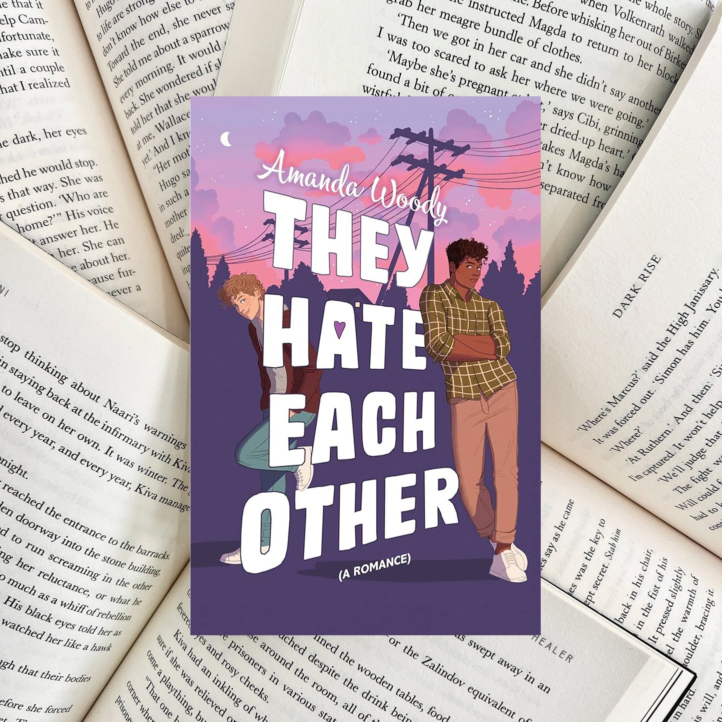 They Hate Each Other By Amanda Woody (NEW)