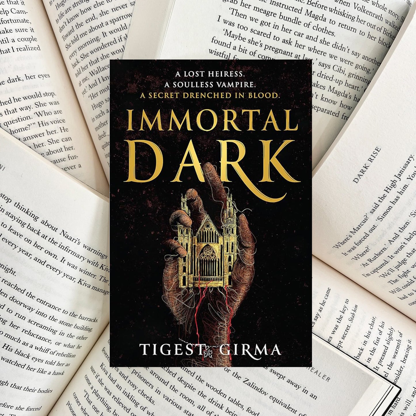 Immortal Dark By Tigest Girma (SECOND-HAND)