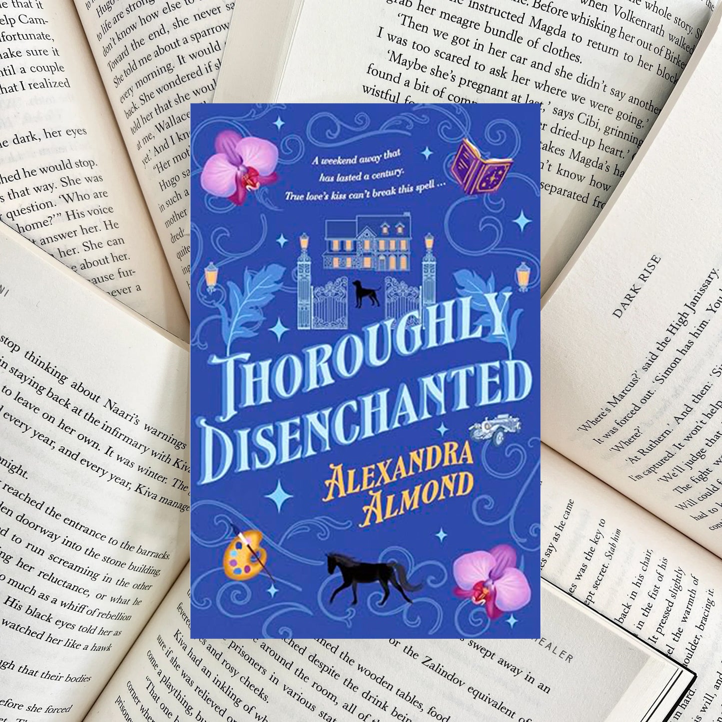Thoroughly Disenchanted By Alexandra Almond (SECOND-HAND)