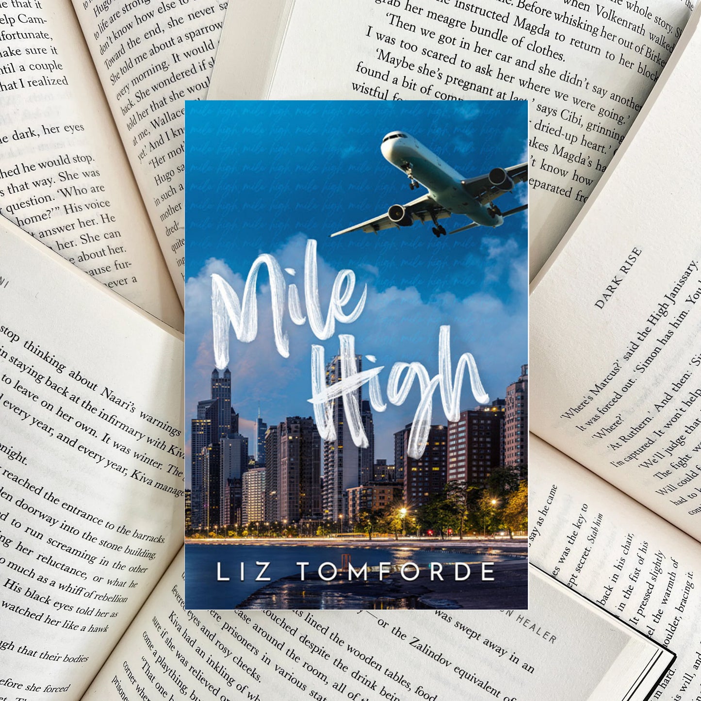 Mile High By Liz Tomforde (NEW)