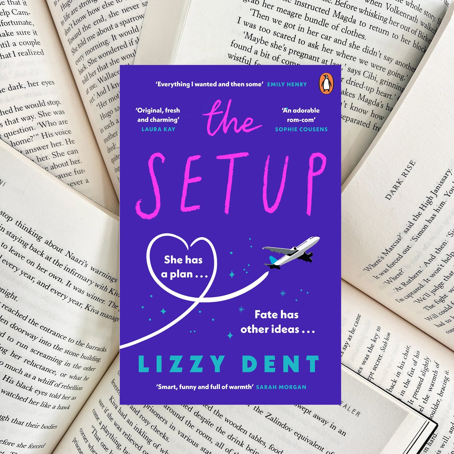 The Setup By Lizzy Dent (SECOND-HAND)