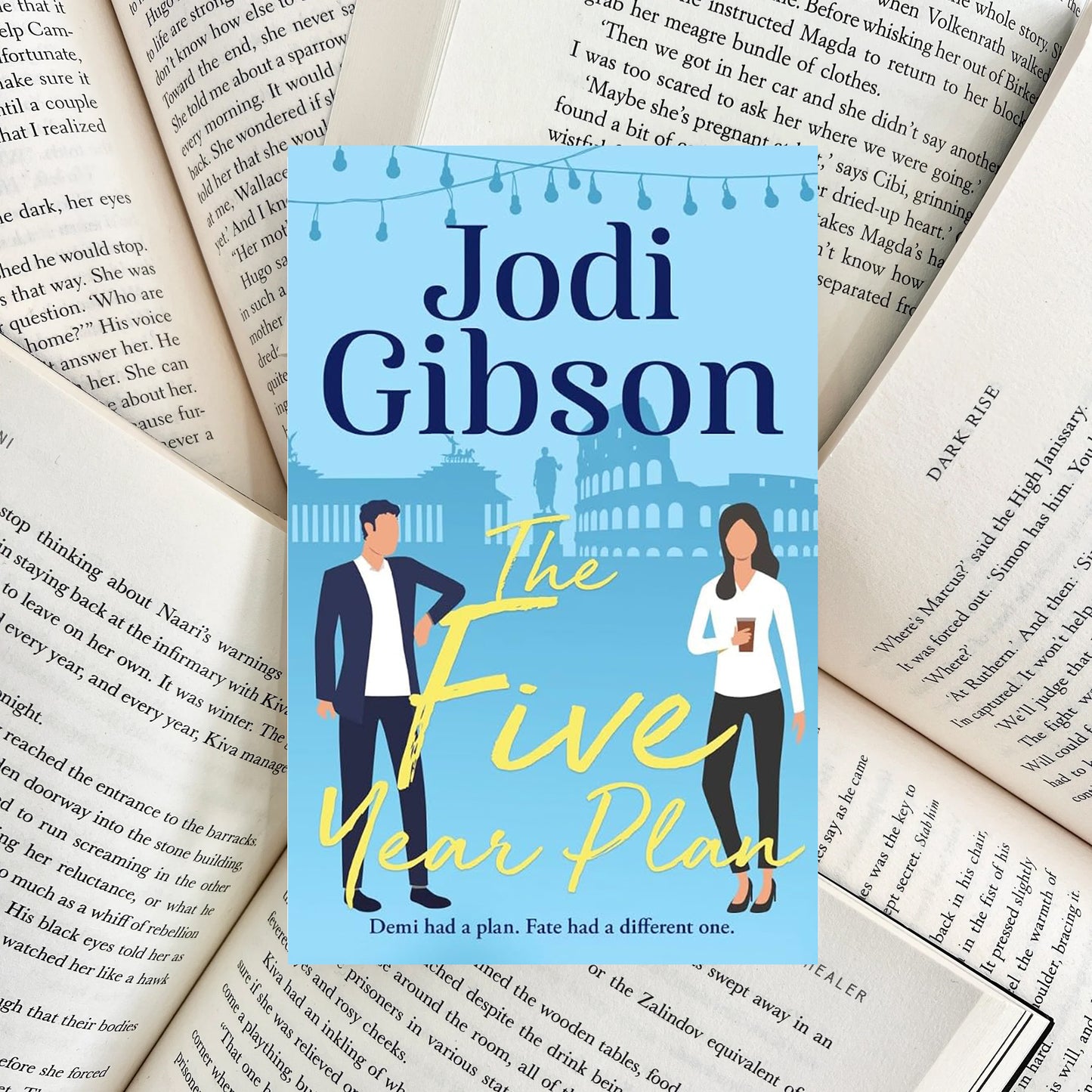 The Five Year Plan By Jodi Gibson (NEW)