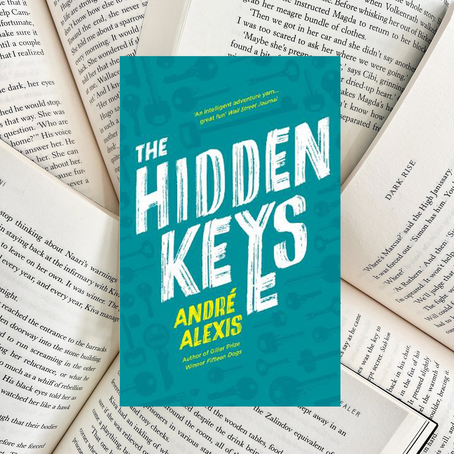 The Hidden Keys By André Alexis HARDBACK (SECOND-HAND)