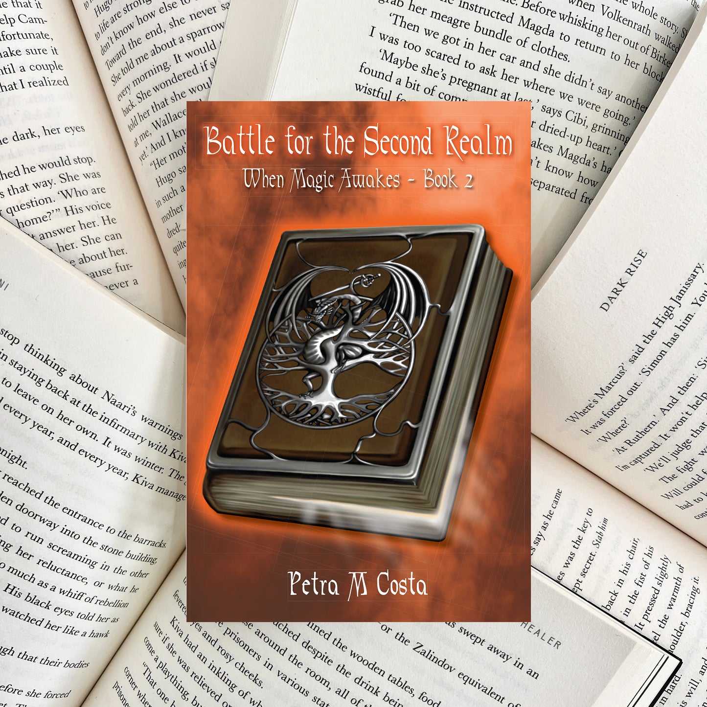 Battle for the Second Realm By Petra Costa (NEW)