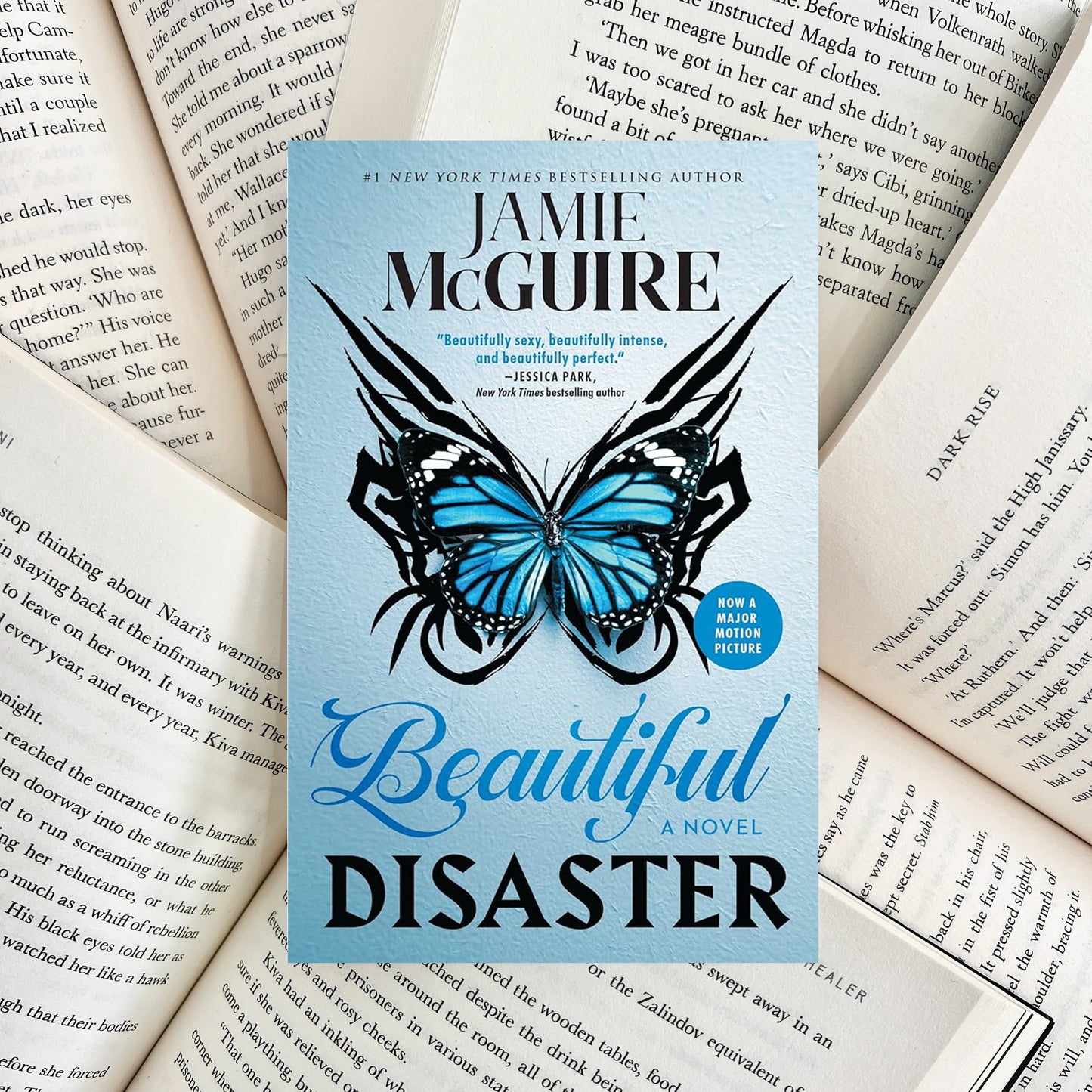 Beautiful Disaster By Jamie McGuire (NEW)