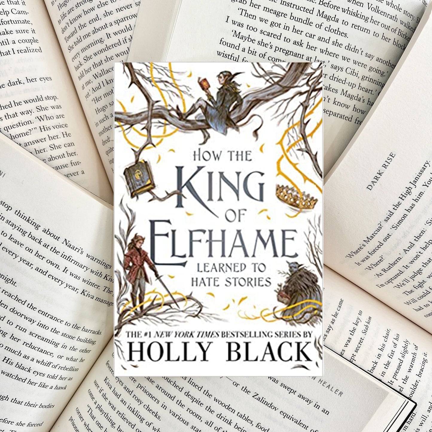 How the King of Elfhame Learned to Hate Stories By Holly Black (SECOND-HAND)