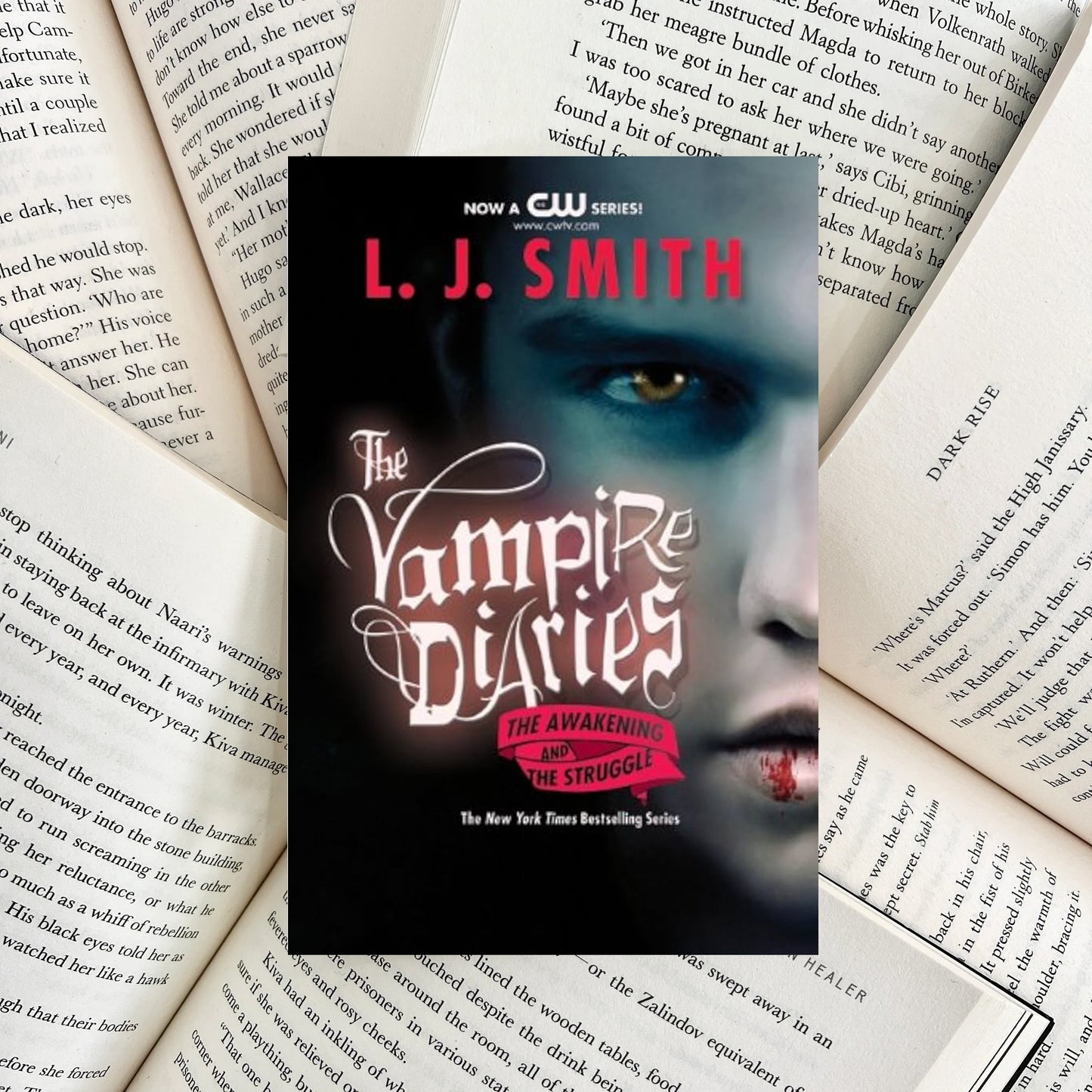 Vampire Diaries The Awakening / The Struggle By L.J. Smith (SECOND-HAND)