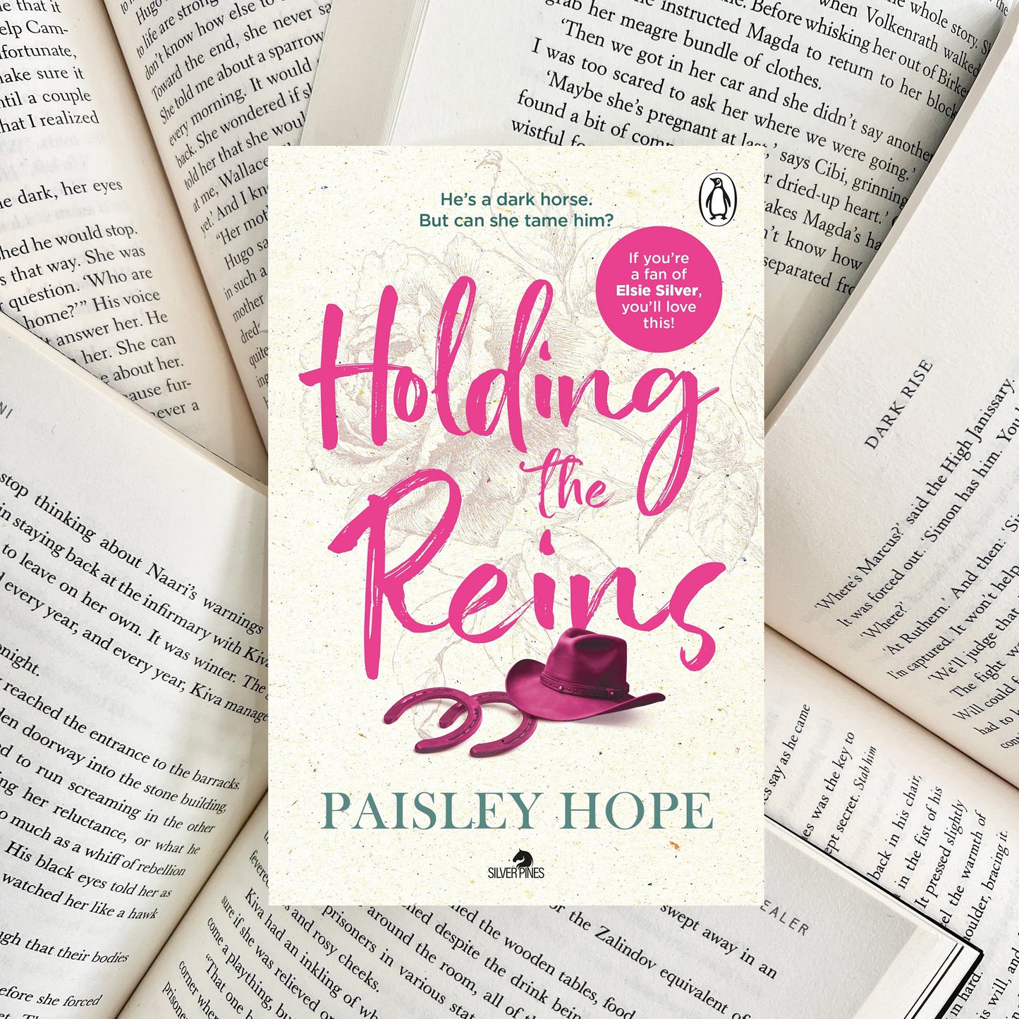 Holding the Reins By Paisley Hope (SECOND-HAND)