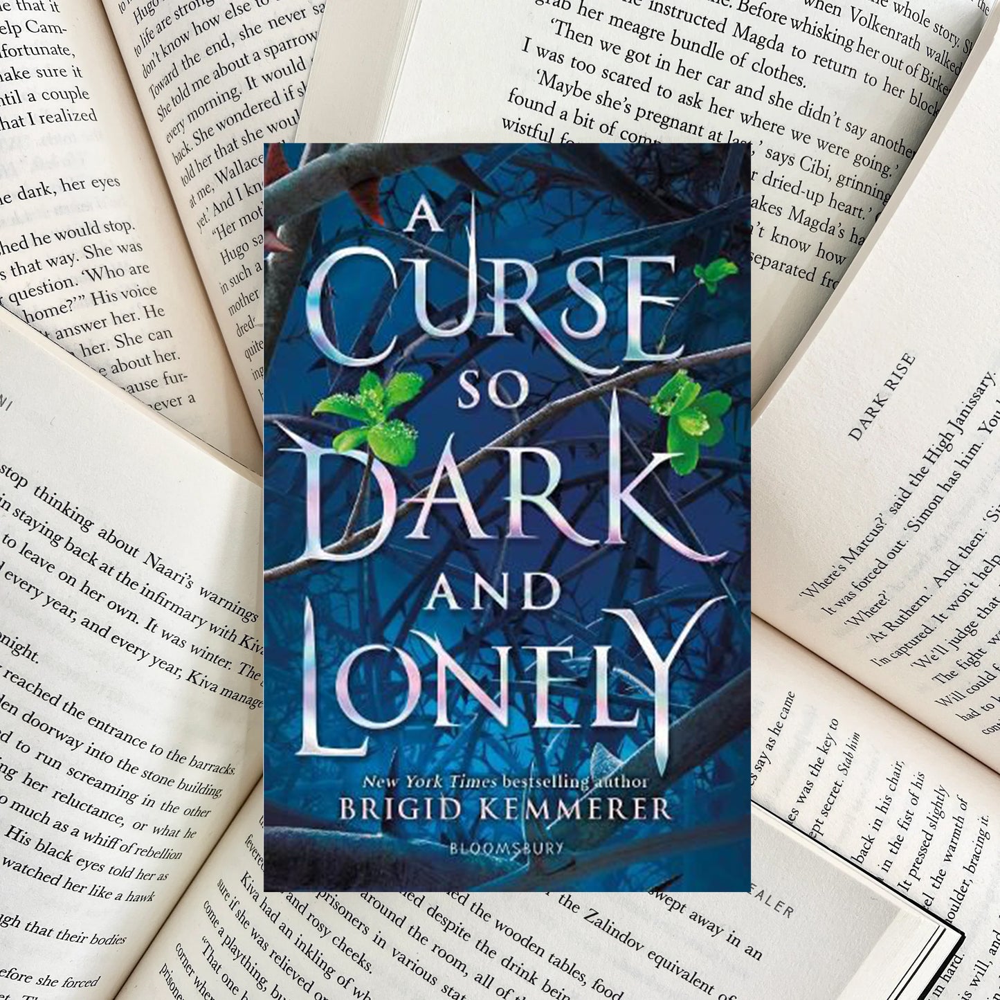 A Curse So Dark and Lonely By Brigid Kemmerer HARDBACK (SECOND-HAND)