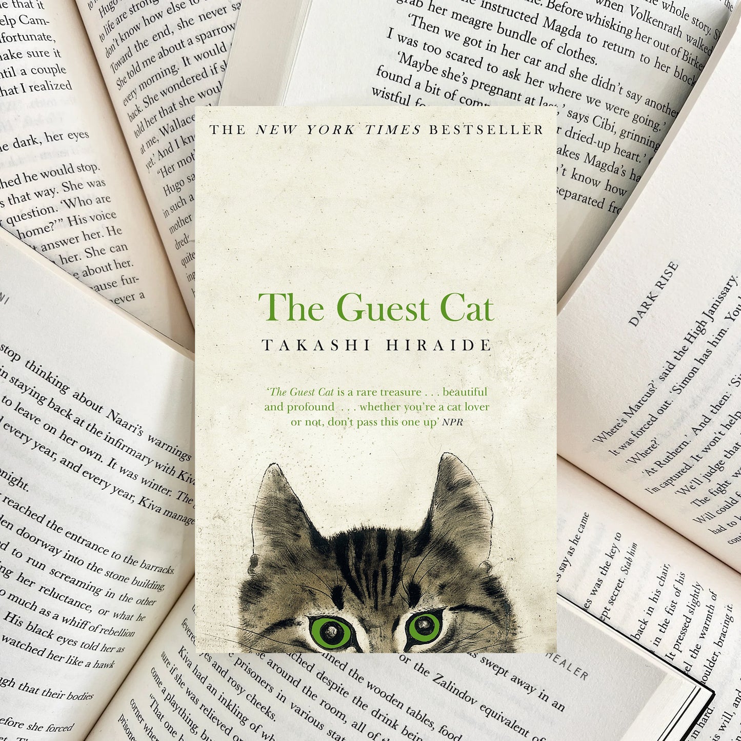 The Guest Cat By Takashi Hiraide (SECOND-HAND)