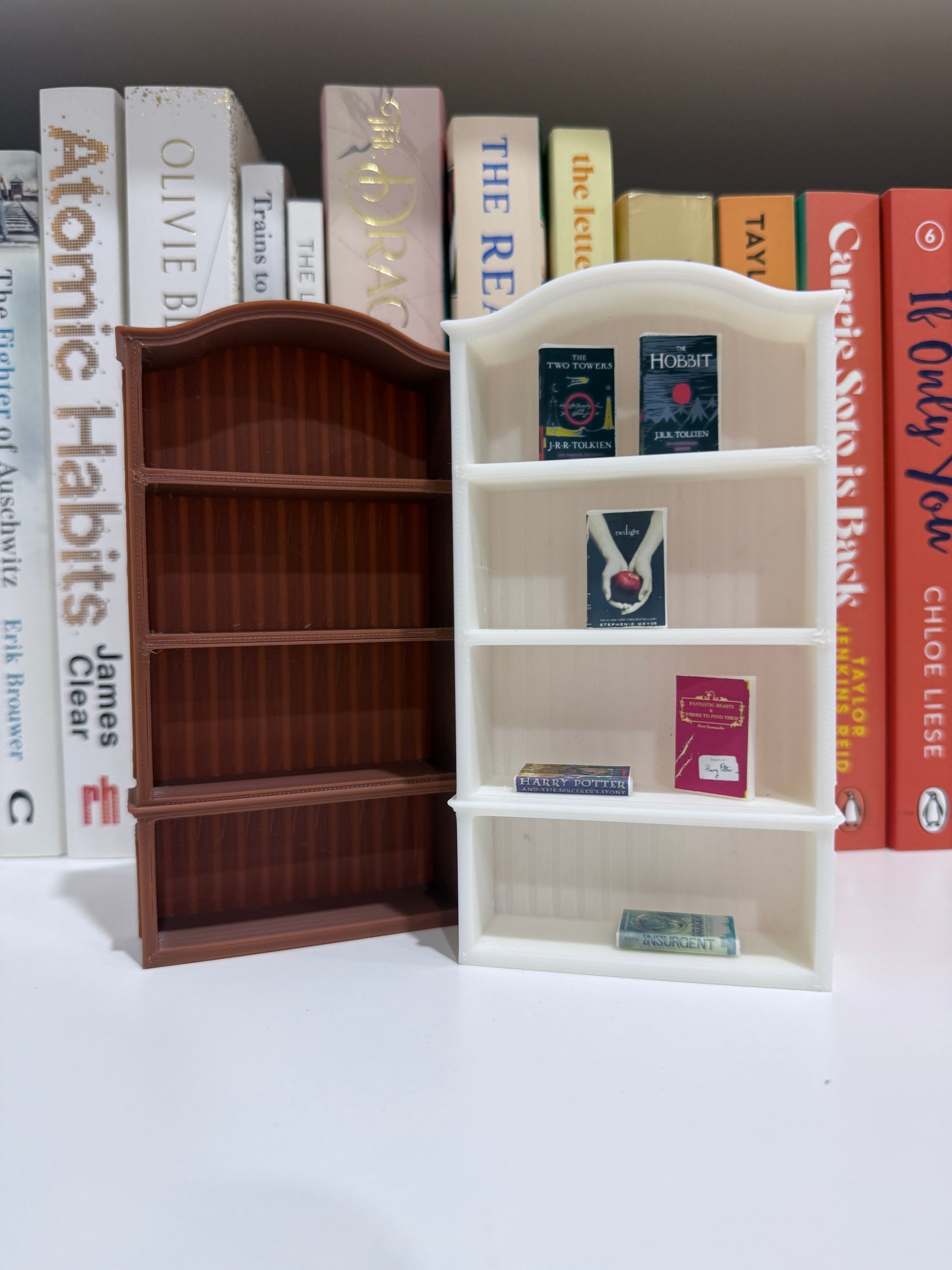 3D Printed Mini Bookshelf & Books - The Albright Library