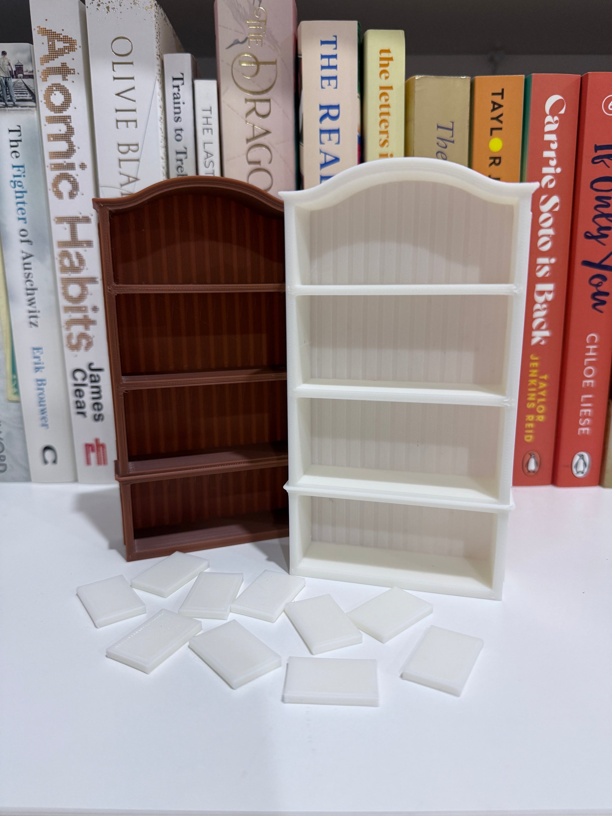3D Printed Mini Bookshelf & Books - The Albright Library