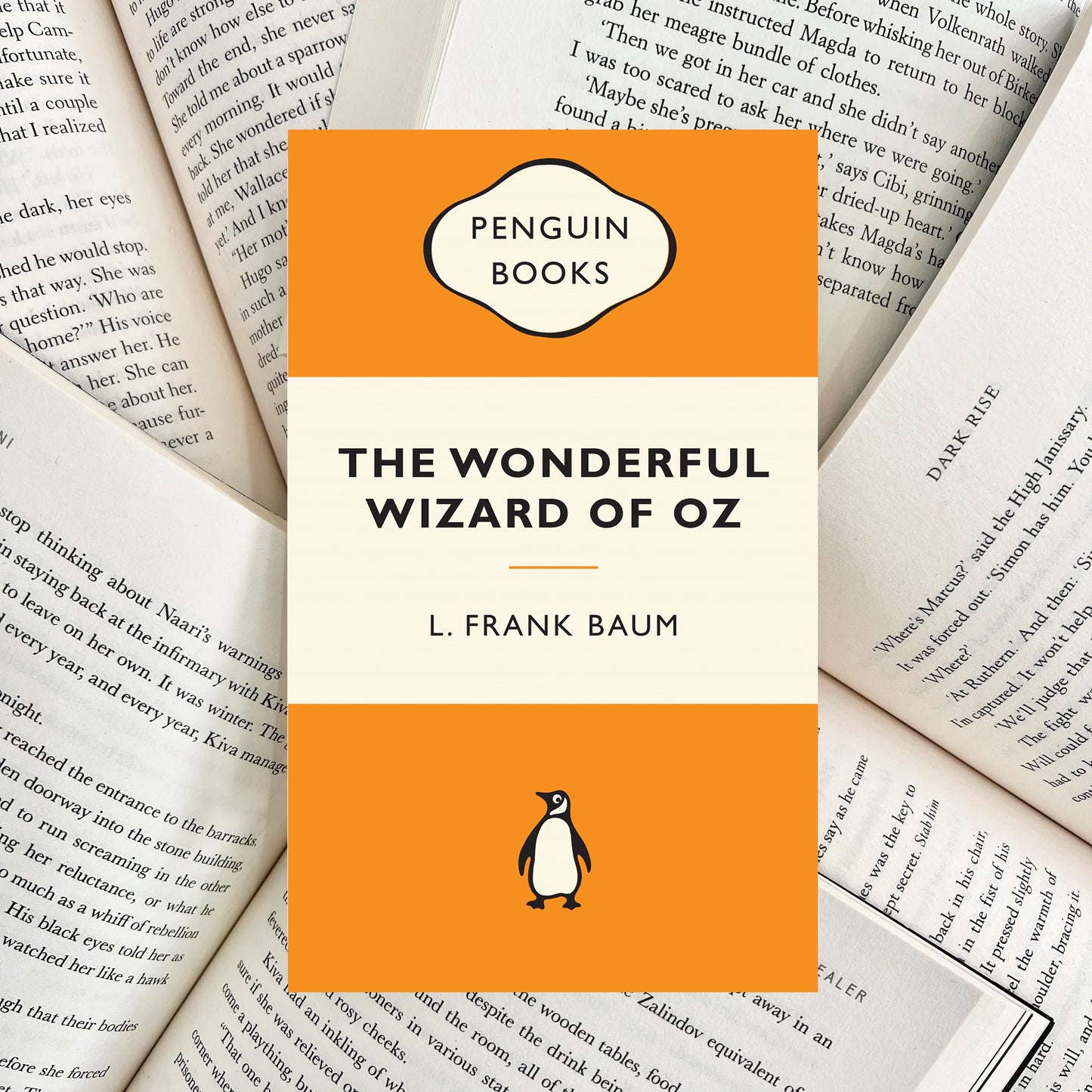The Wonderful Wizard of Oz L. Frank Baum (SECOND-HAND)