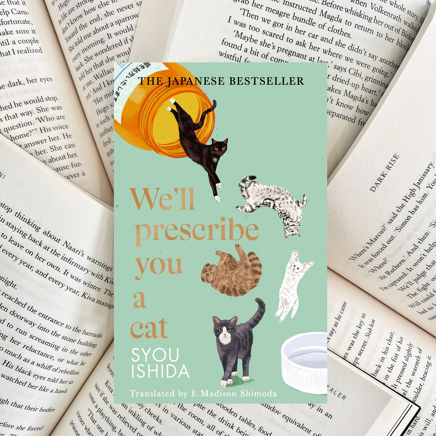 We'll Prescribe You a Cat By Syou Ishida HARDBACK (NEW)