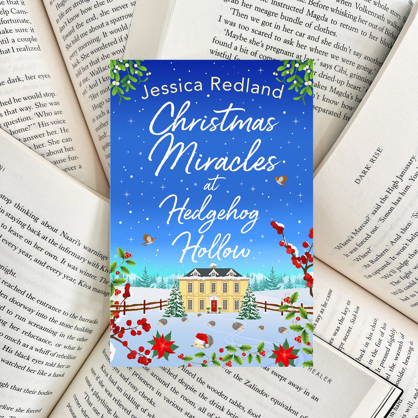 Christmas Miracles at Hedgehog Hollow By Jessica Redland (SECOND-HAND)