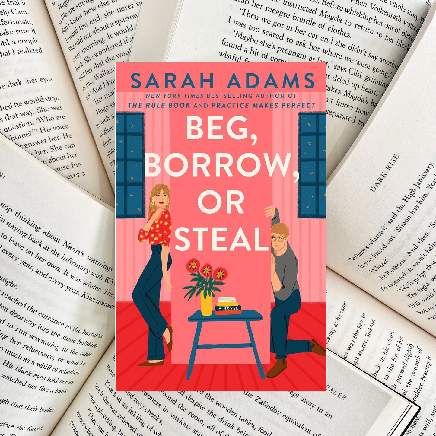 Beg, Borrow, or Steal By Sarah Adams (NEW)