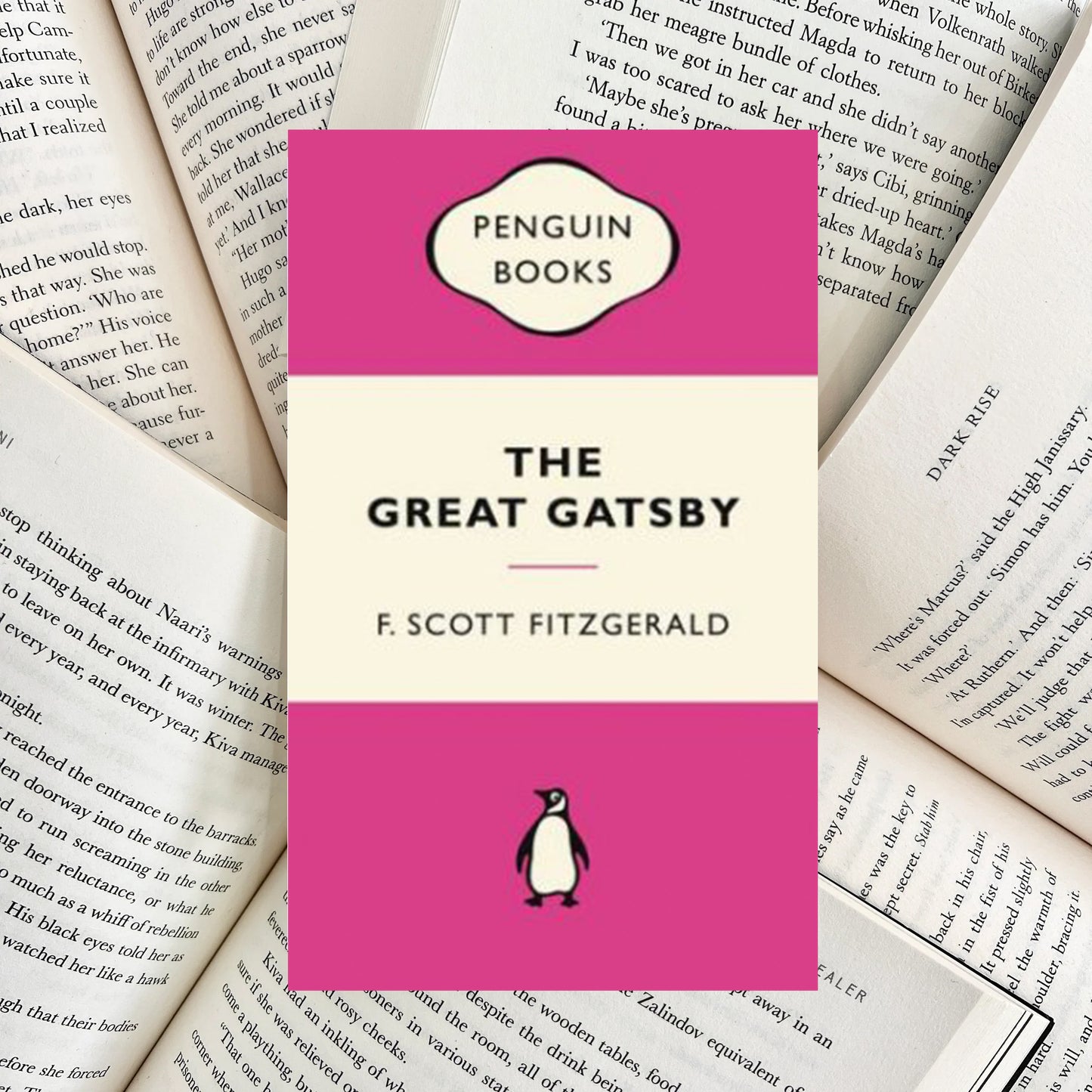 The Great Gatsby By F. Scott Fitzgerald (SECOND-HAND)