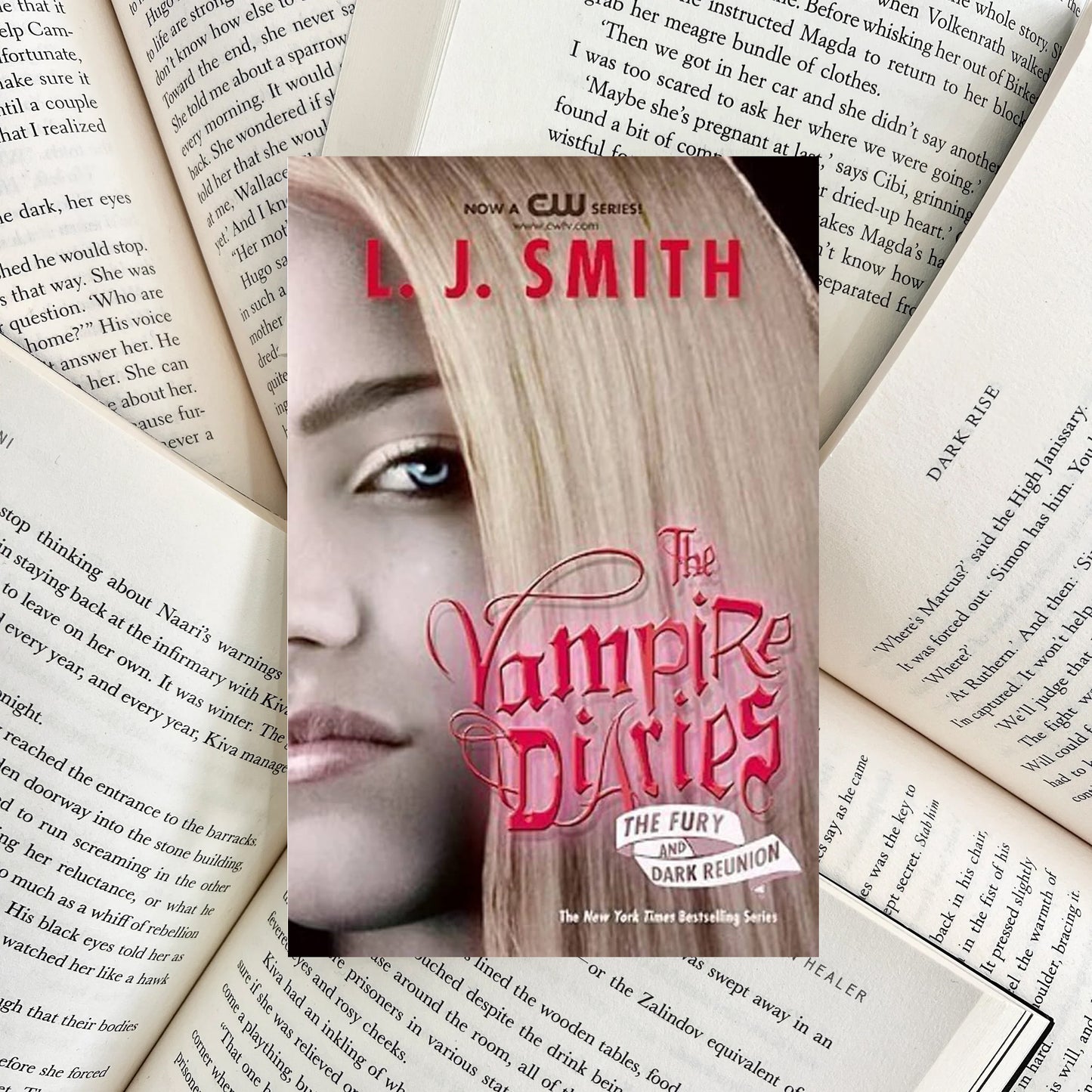 Vampire Diaries The Fury / Dark Reunion By L.J. Smith (SECOND-HAND)