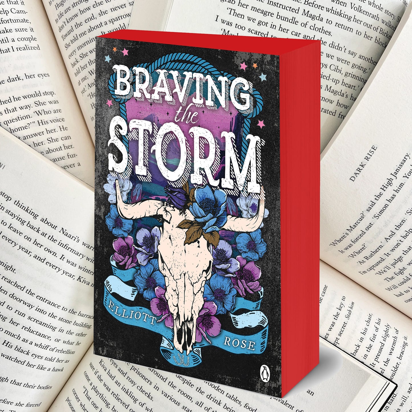 Braving the Storm By Elliott Rose (NEW)