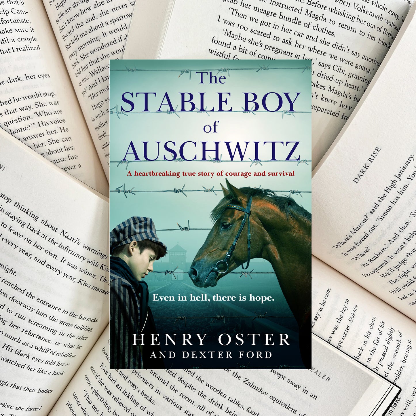 The Stable Boy of Auschwitz By Henry Oster (SECOND-HAND)