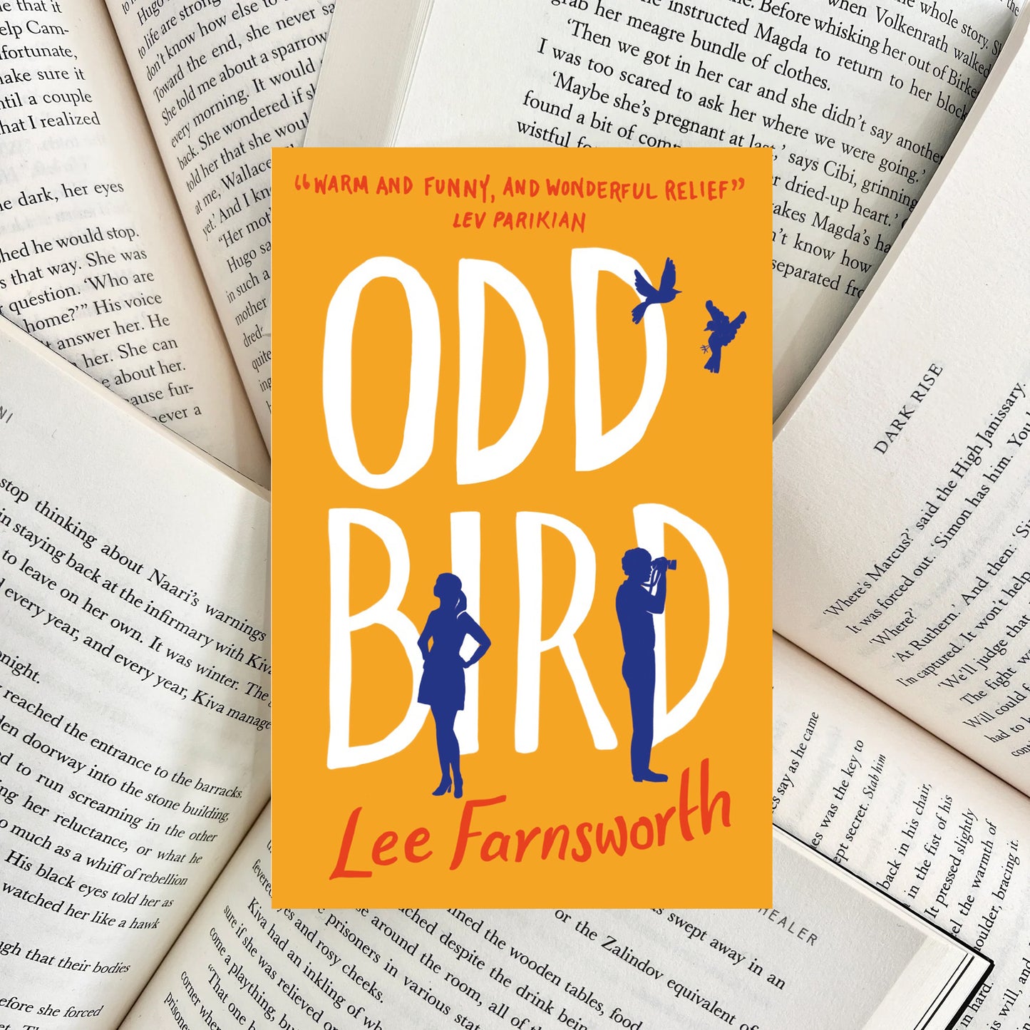 Odd Bird By Lee Farnsworth (SECOND-HAND)