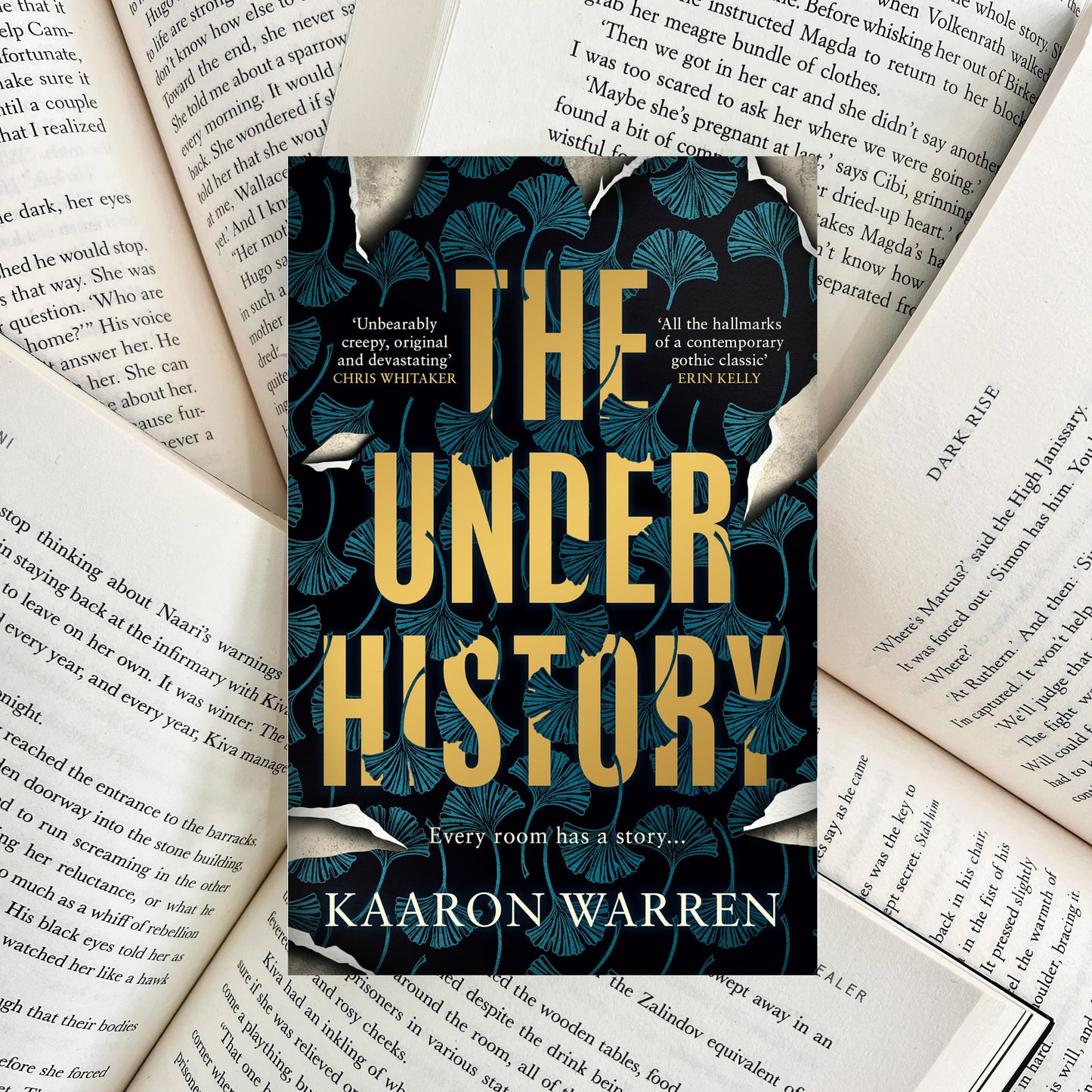 The Underhistory By Kaaron Warren HARDBACK (SECOND-HAND)