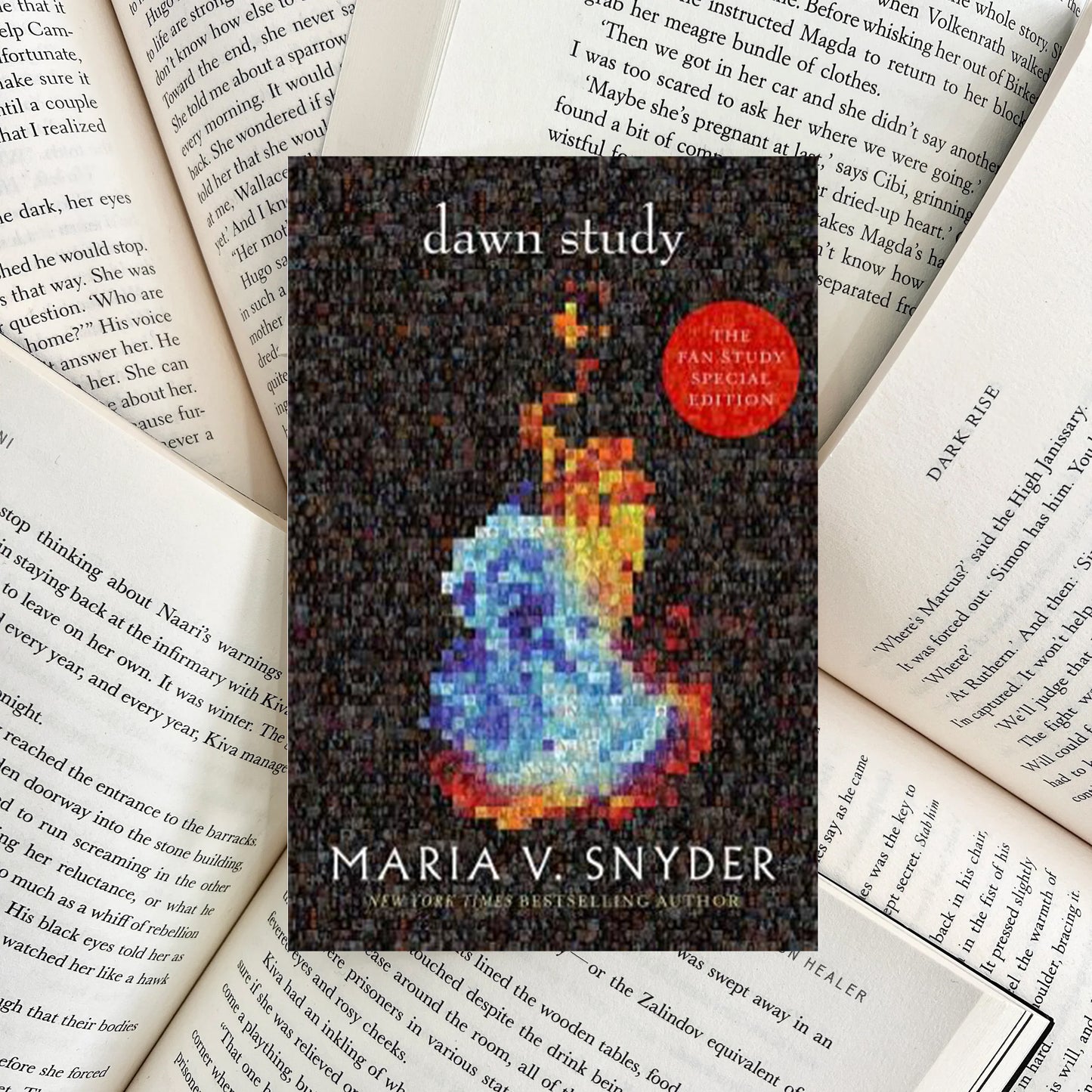 Dawn Study By Maria V. Snyder HARDBACK (SECOND-HAND)