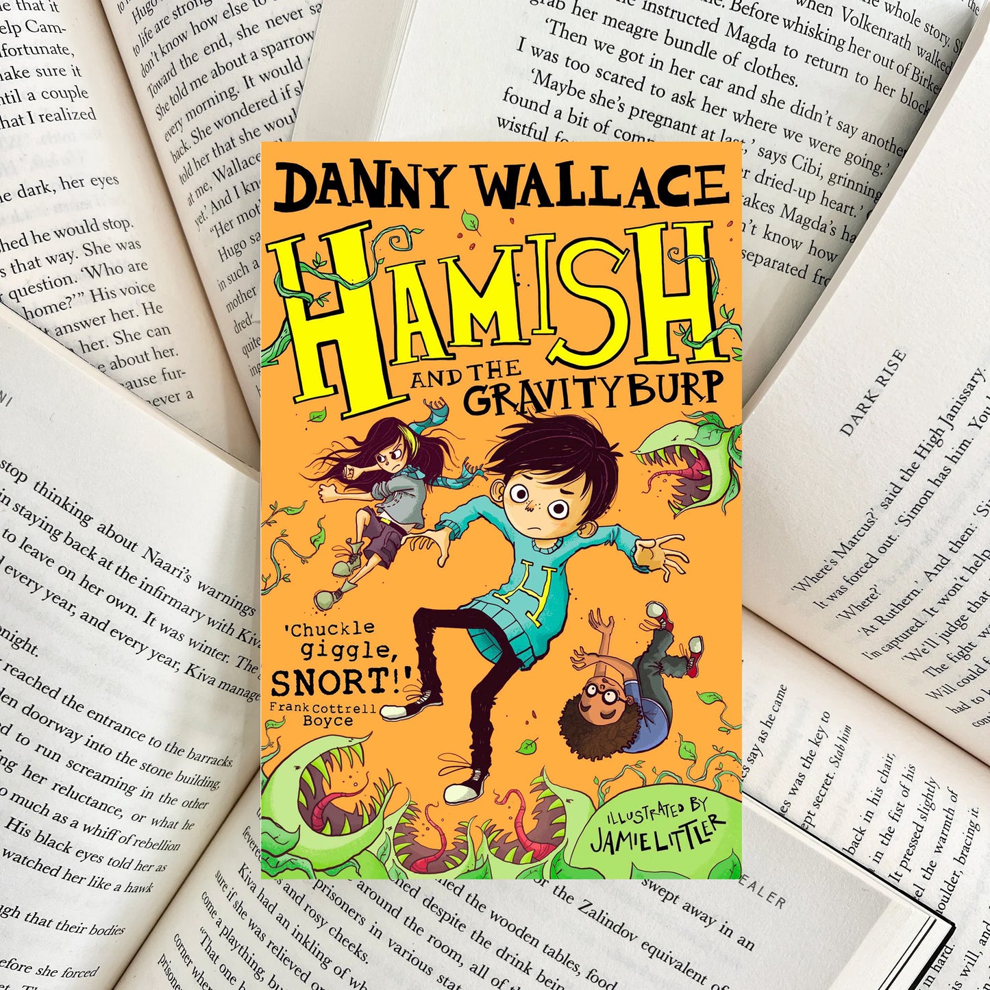 Hamish and the Gravity Burp By Danny Wallace (SECOND-HAND)