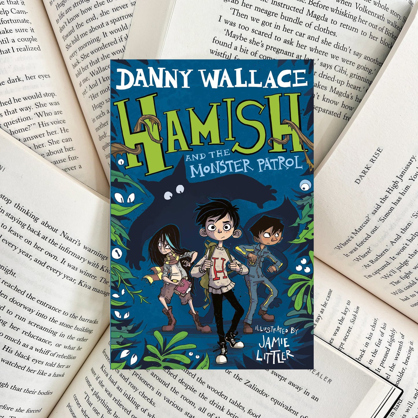 Hamish and the Monster Patrol By Danny Wallace (SECOND-HAND)