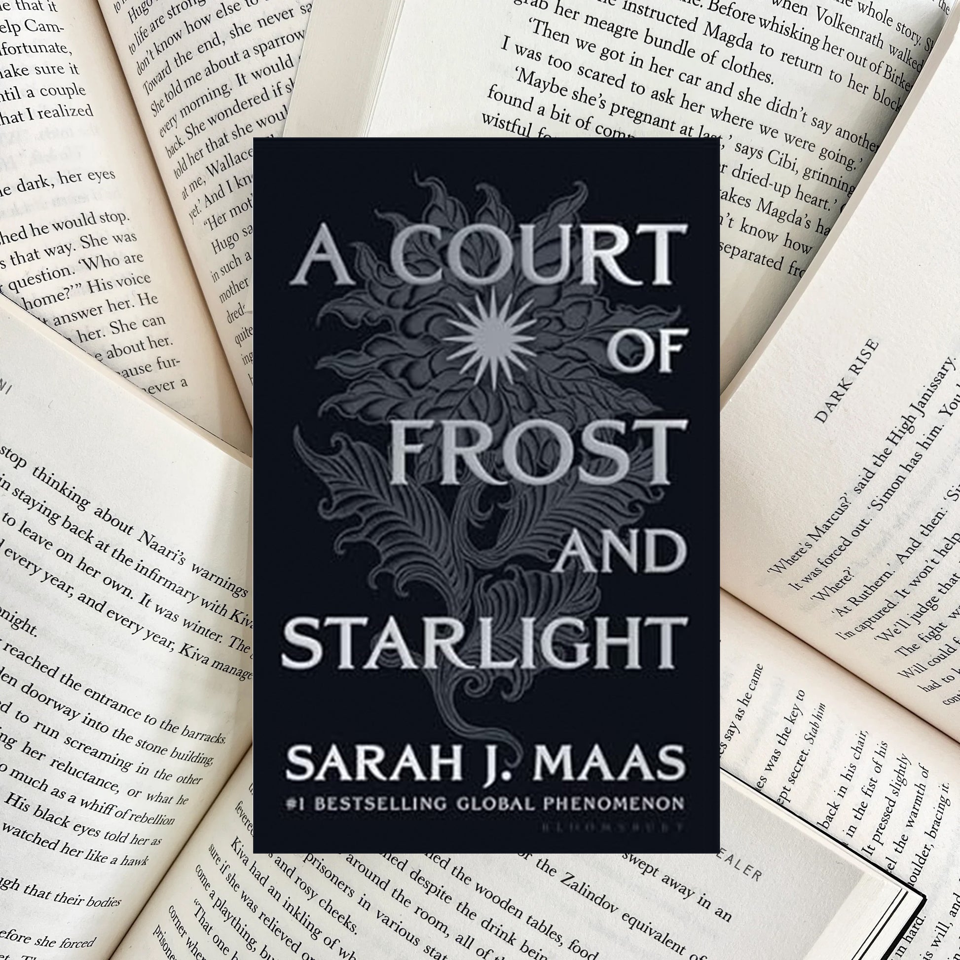A Court of Frost and Starlight By Sarah J. Maas NIGHT EDITION (NEW) - The Albright Library