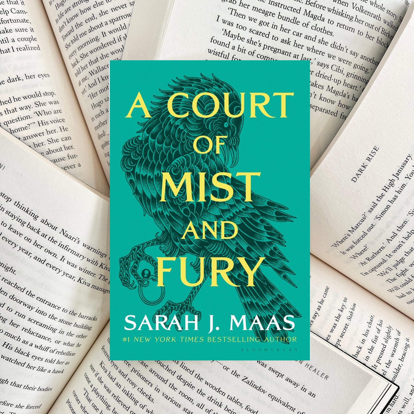 A Court of Mist and Fury By Sarah J. Maas (NEW)