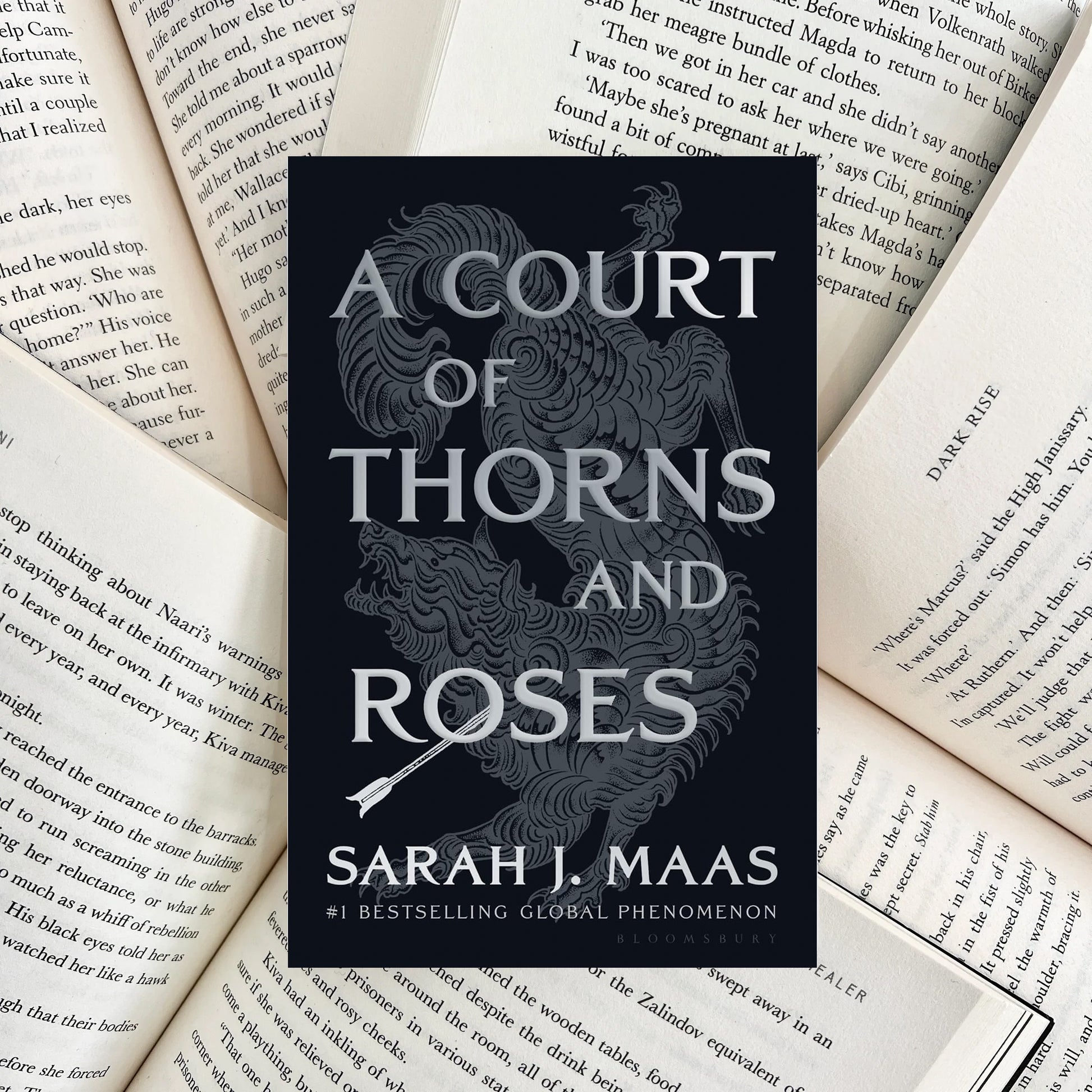 A Court of Thorns and Roses By Sarah J. Maas NIGHT EDITION (NEW) - The Albright Library