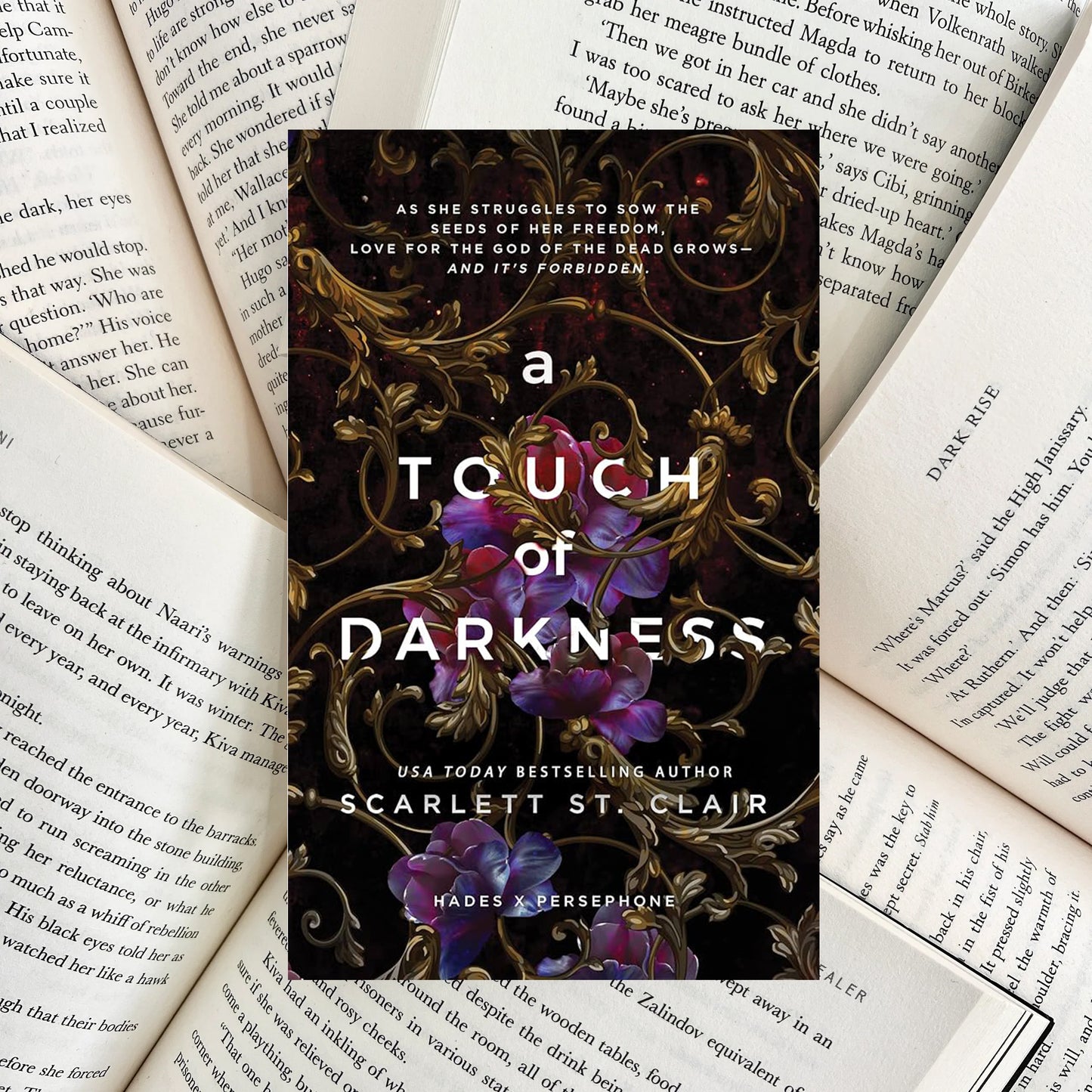 A Touch of Darkness By Scarlett St. Clair (NEW)