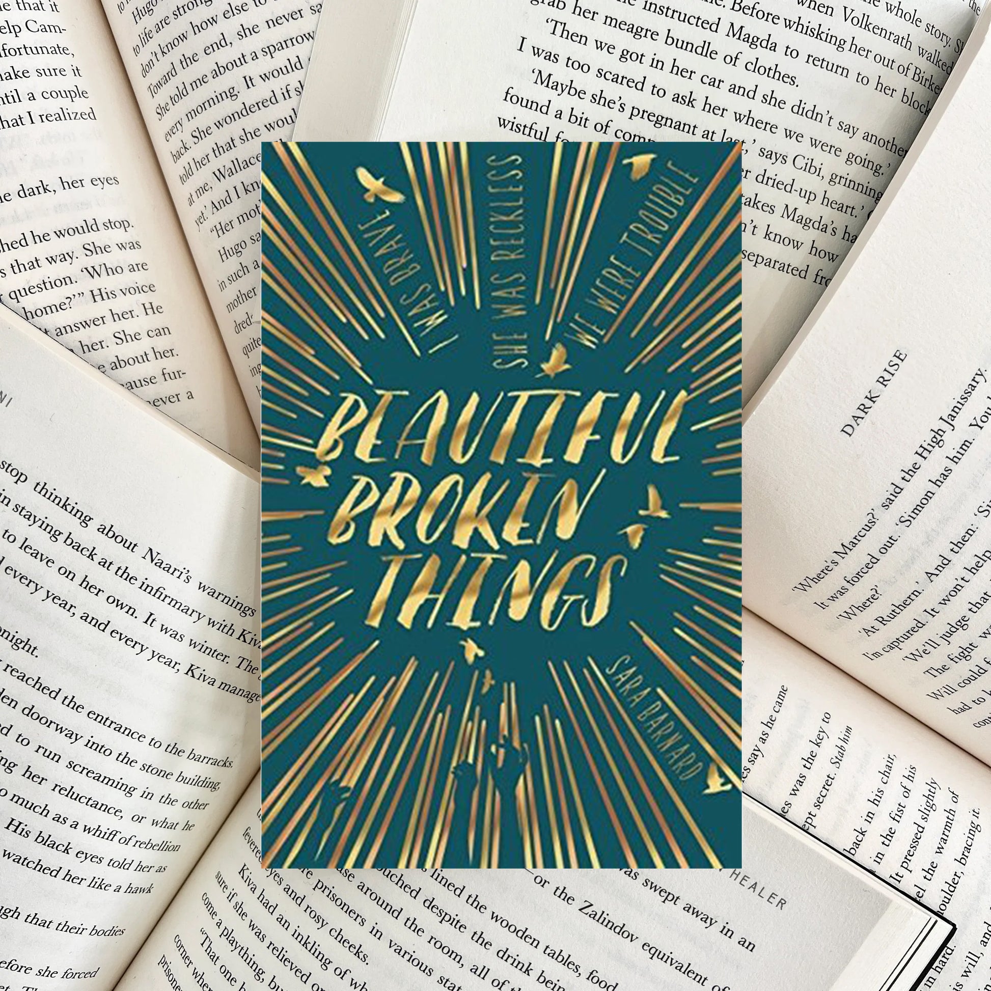 Beautiful Broken Things By Sara Barnard (SECOND-HAND) - The Albright Library