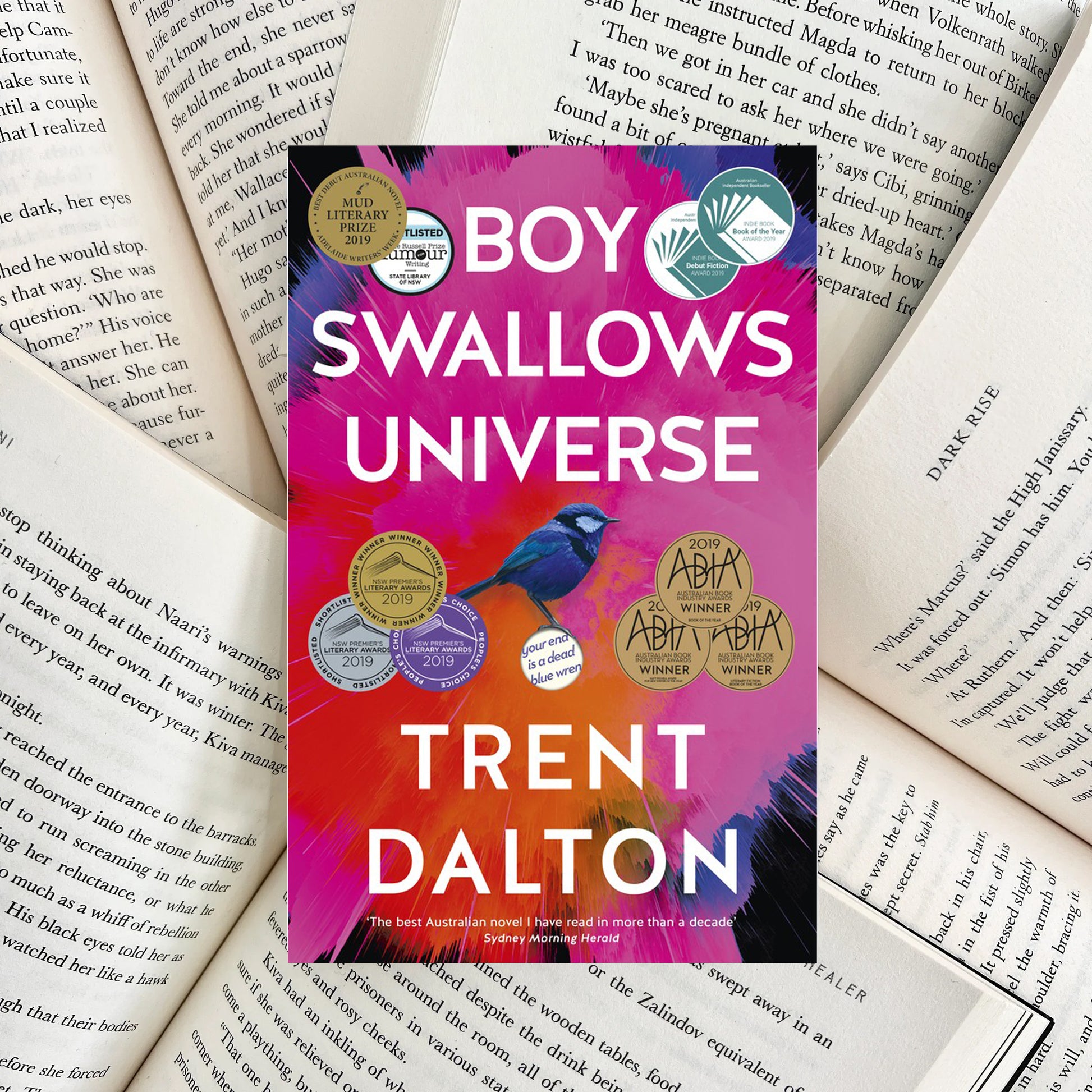 Boy Swallows Universe By Trent Dalton (SECOND-HAND) - The Albright Library
