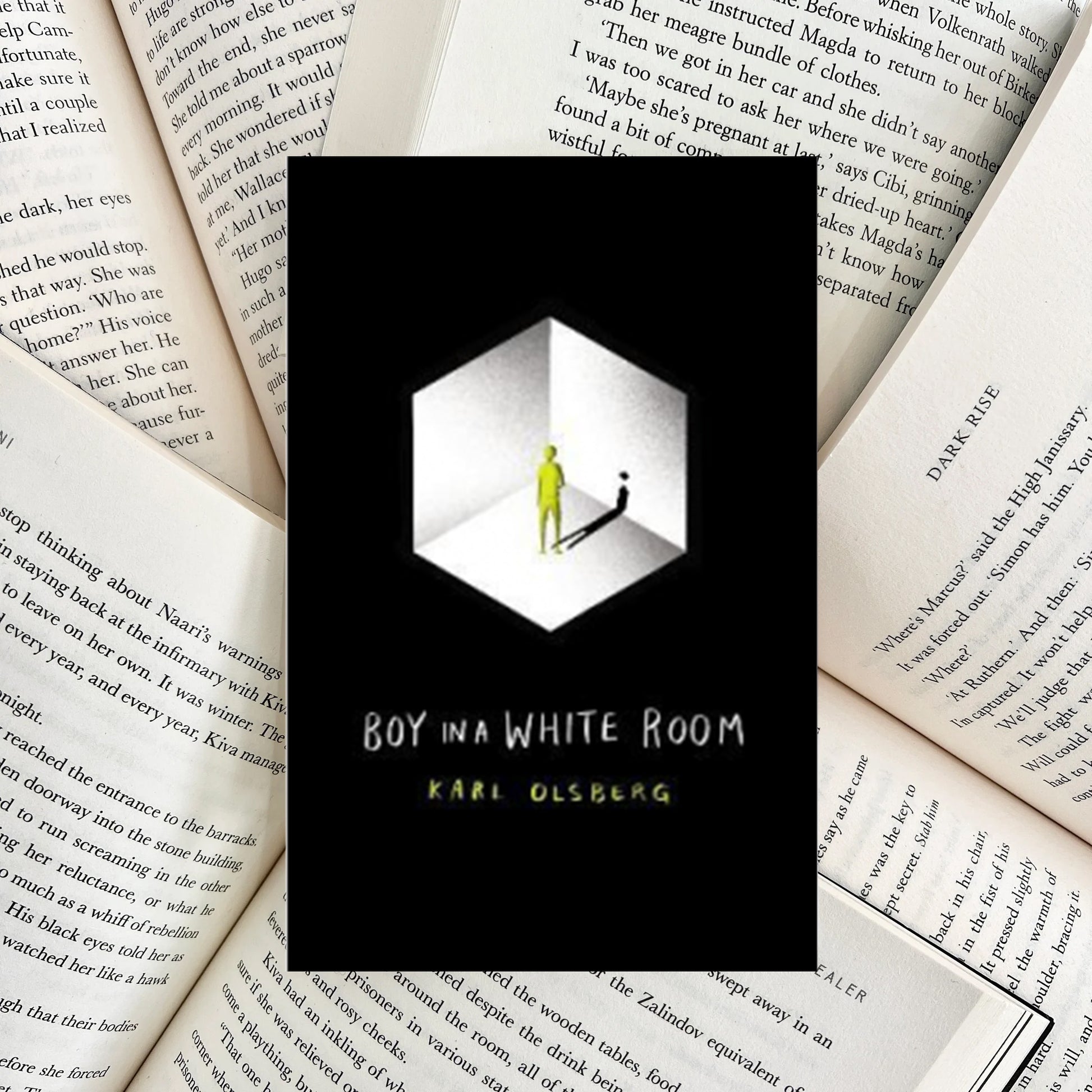 Boy in a White Room By Karl Olsberg (NEW) - The Albright Library