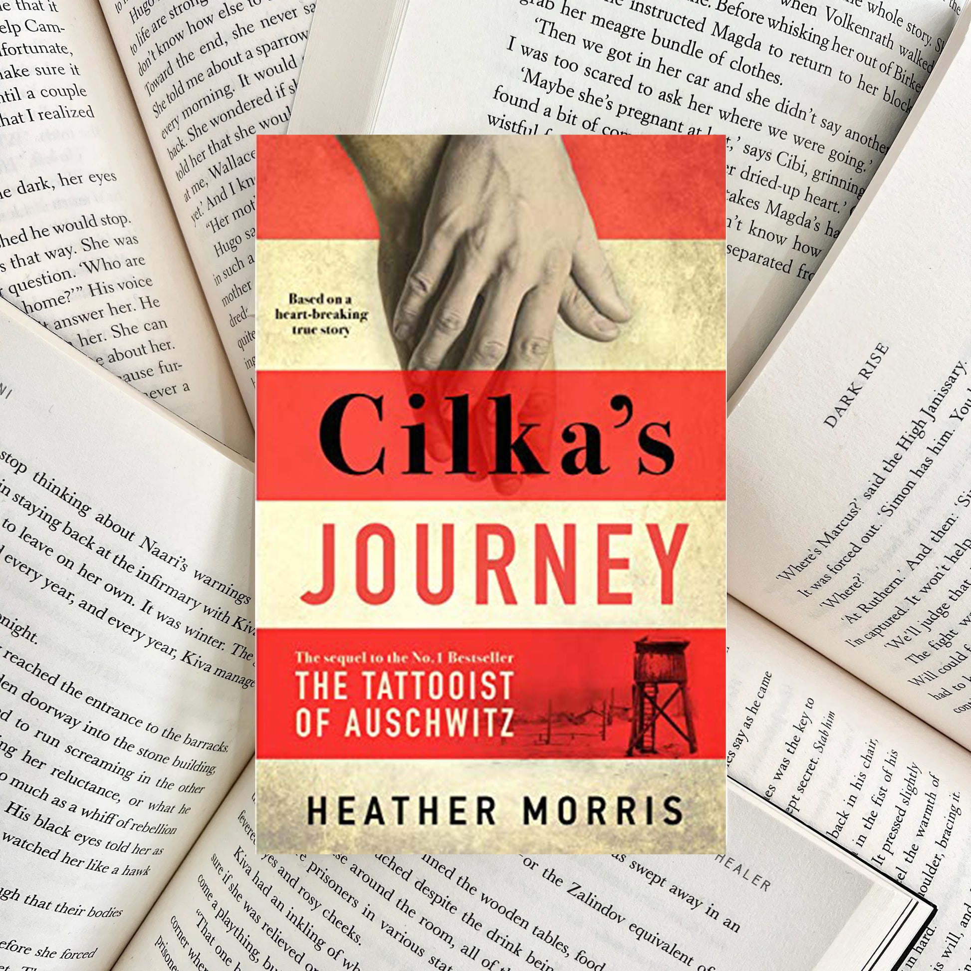 Cilka's Journey By Heather Morris (SECOND-HAND) - The Albright Library