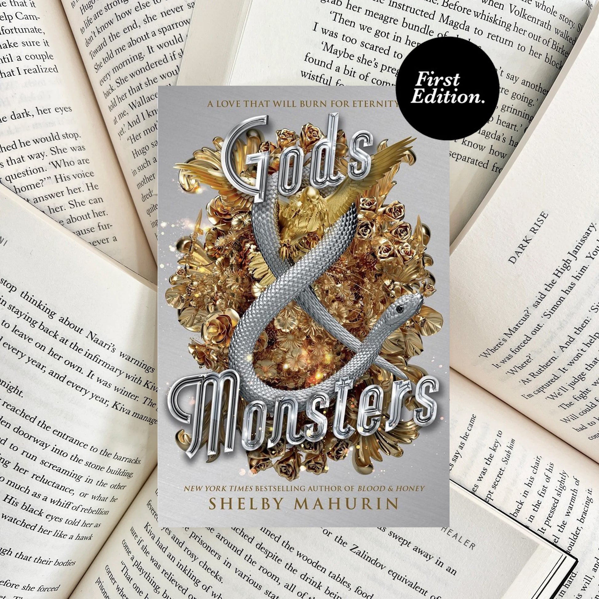 Gods & Monsters By Shelby Mahurin (SECOND-HAND) - The Albright Library