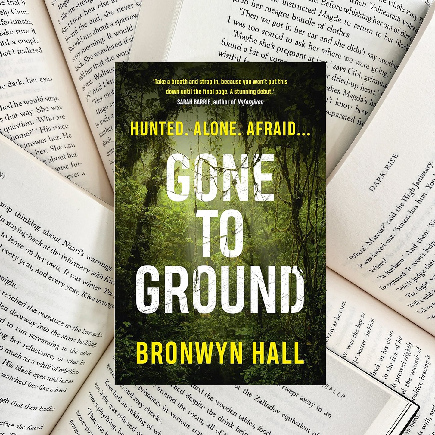 Gone to Ground By Bronwyn Hall (SECOND-HAND) - The Albright Library