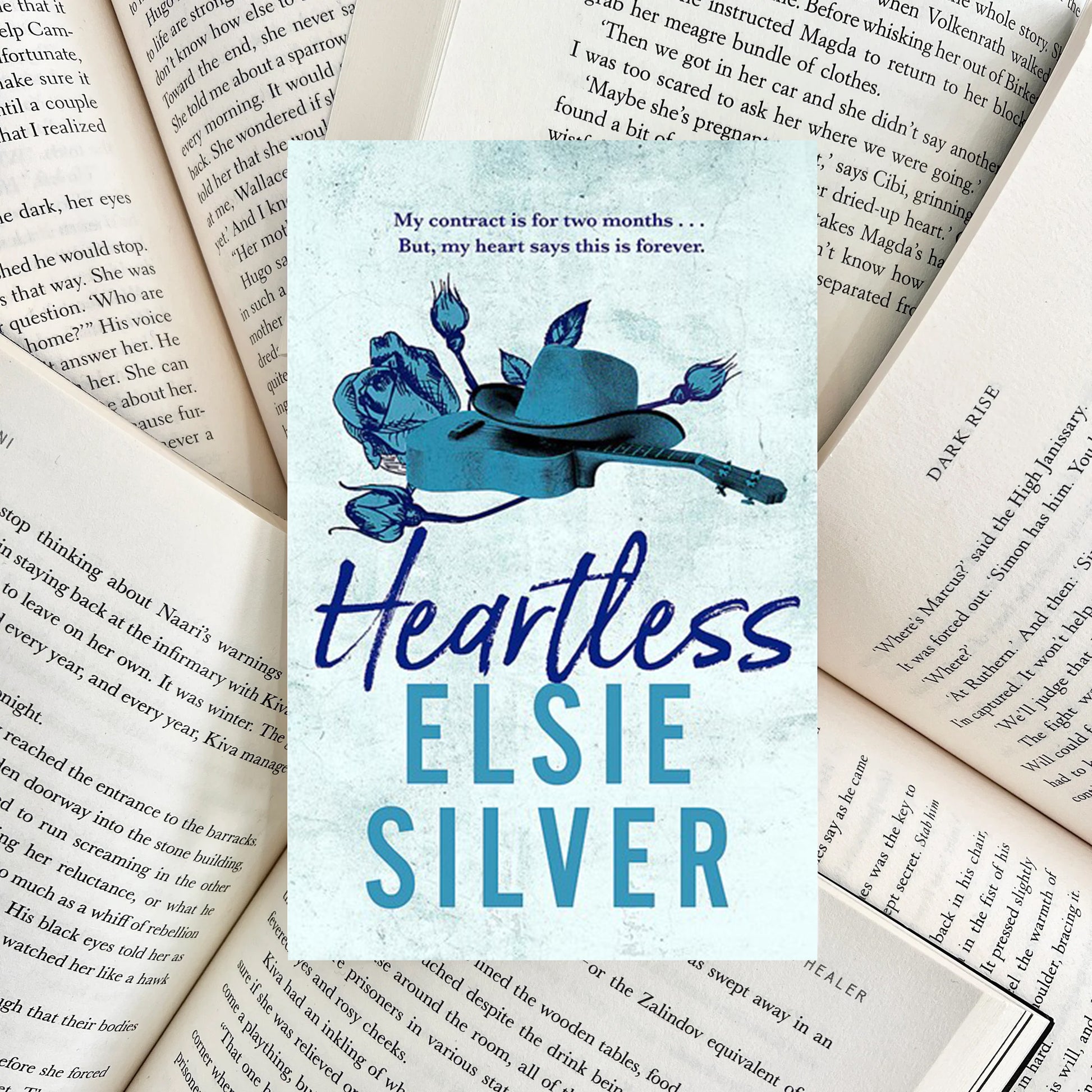 Heartless By Elsie Silver (NEW) - The Albright Library