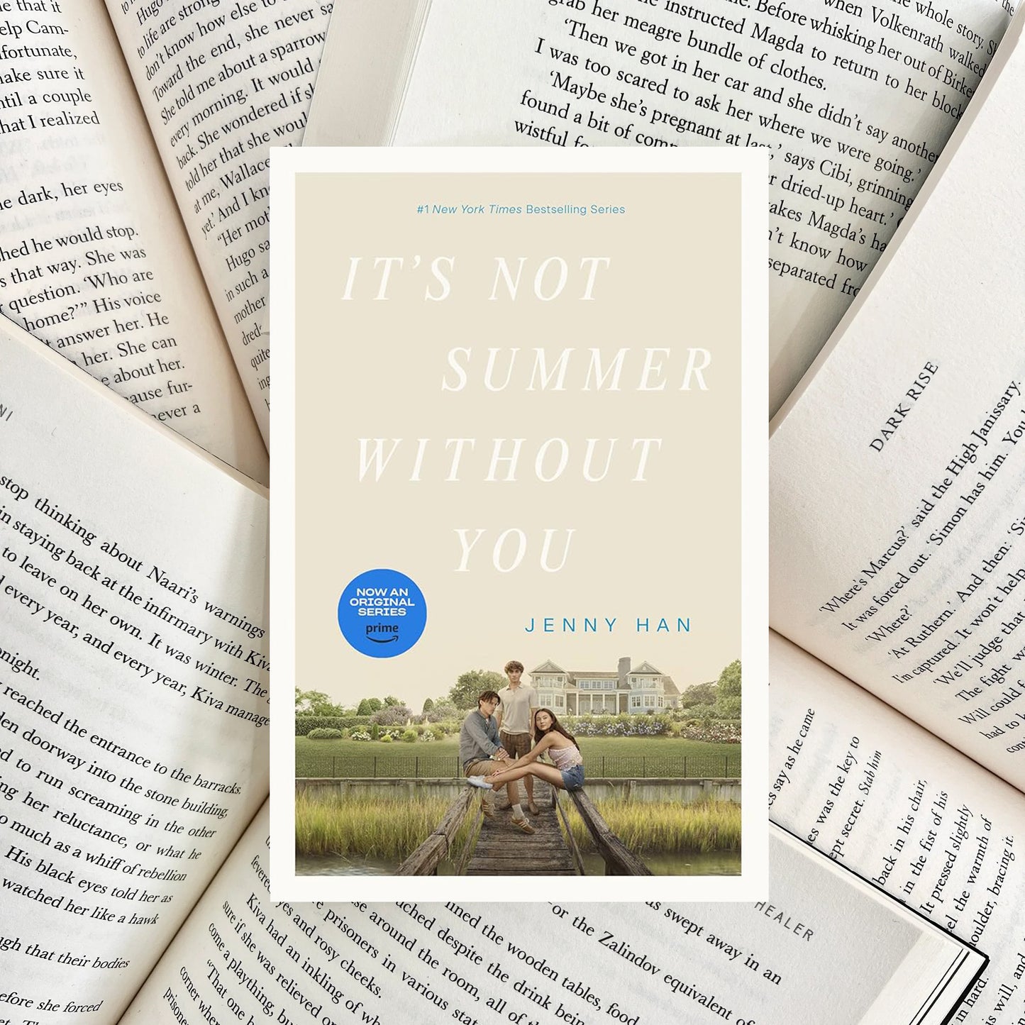 It's Not Summer Without You By Jenny Han (NEW) - The Albright Library